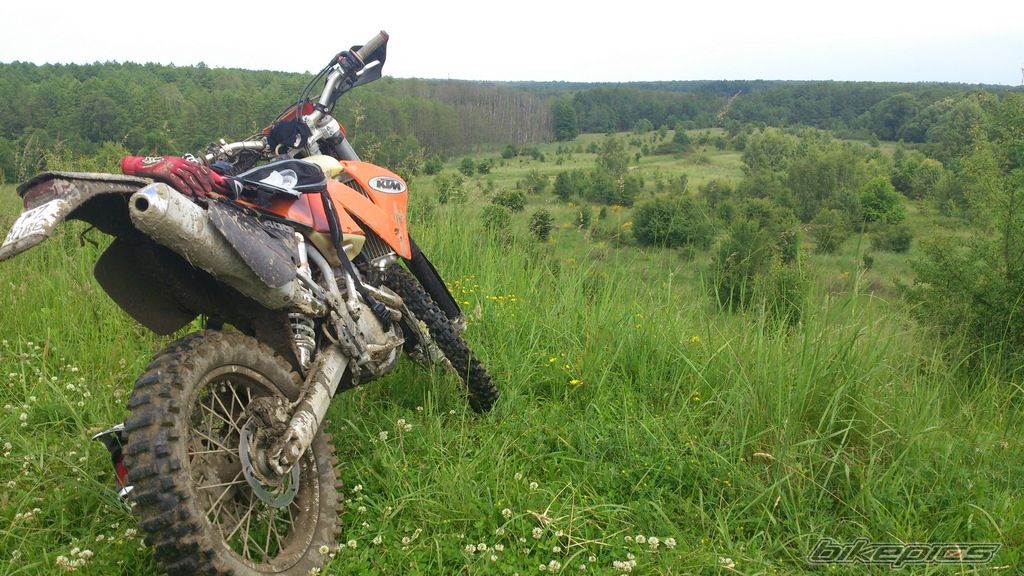 Photo 2564439