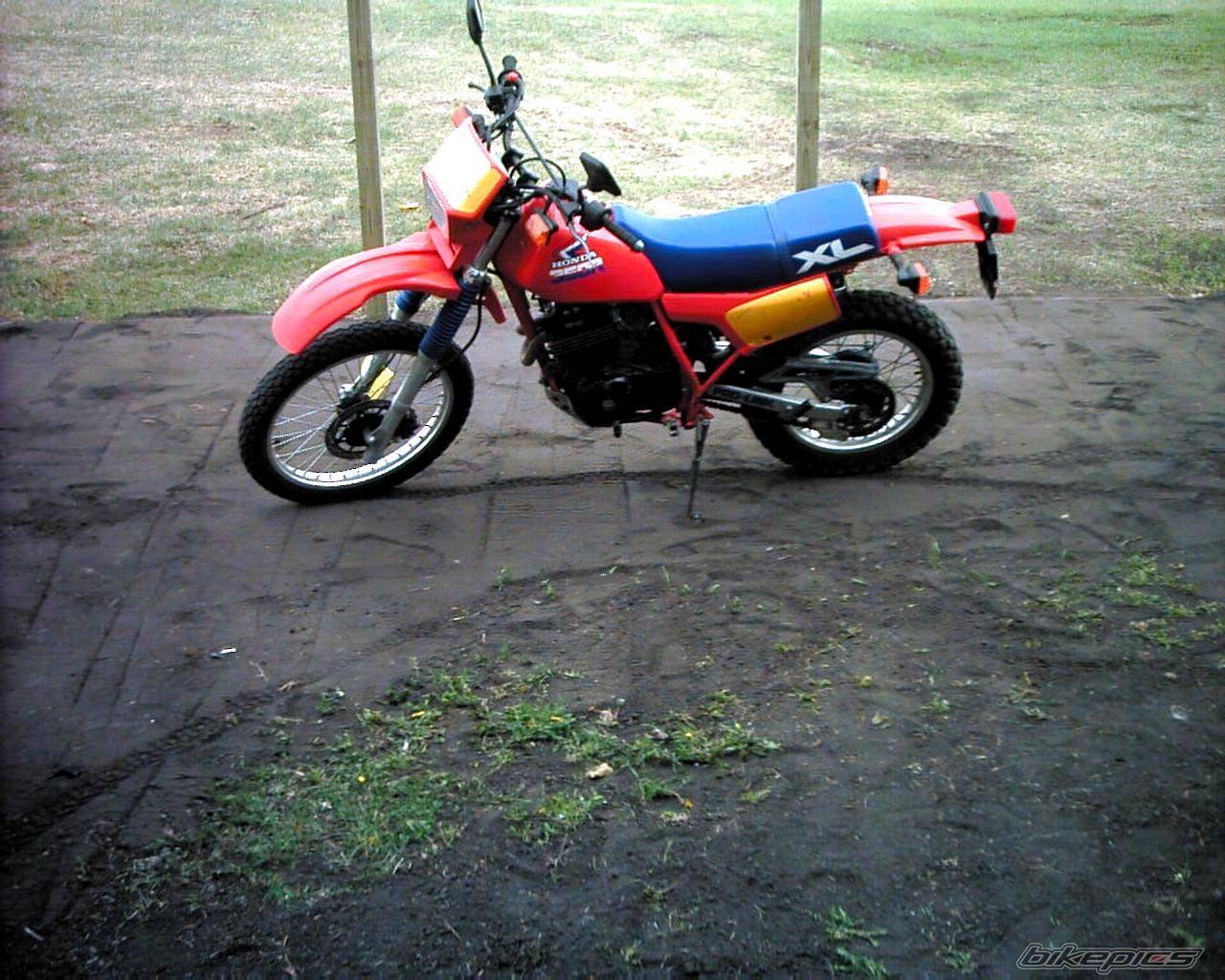 Bike Photo 256447