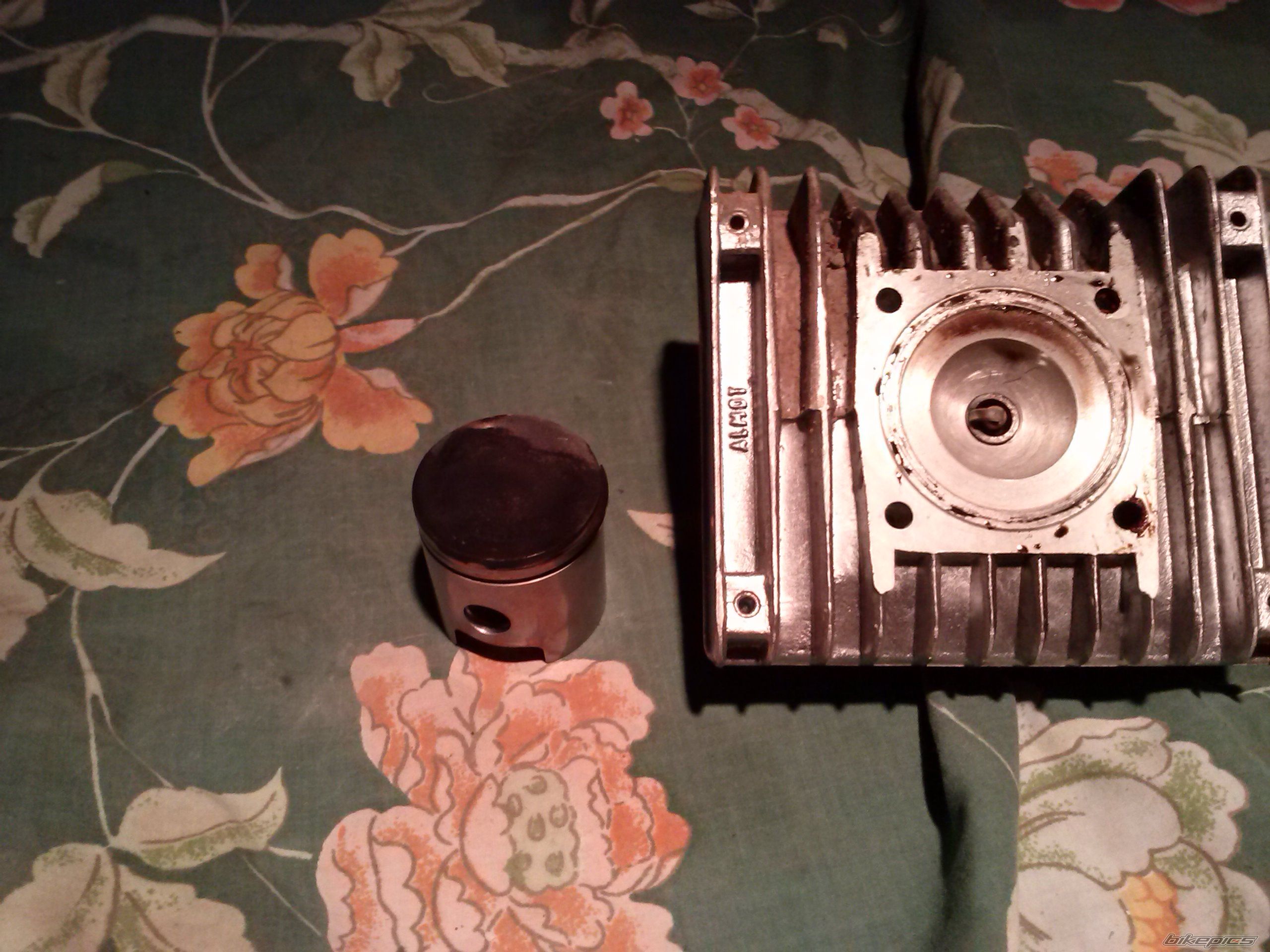 Photo 2564479
