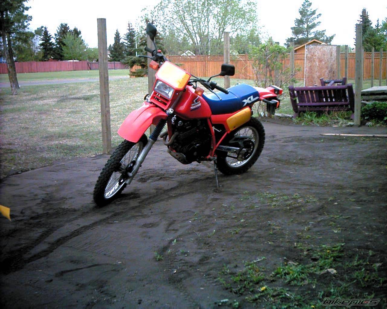 Photo 256448