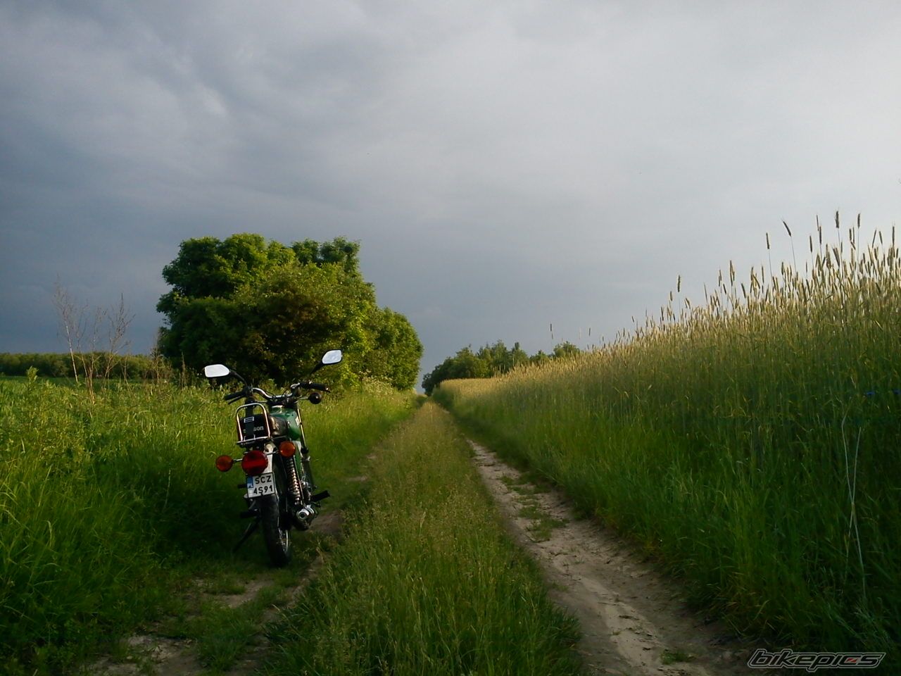 Photo 2564565