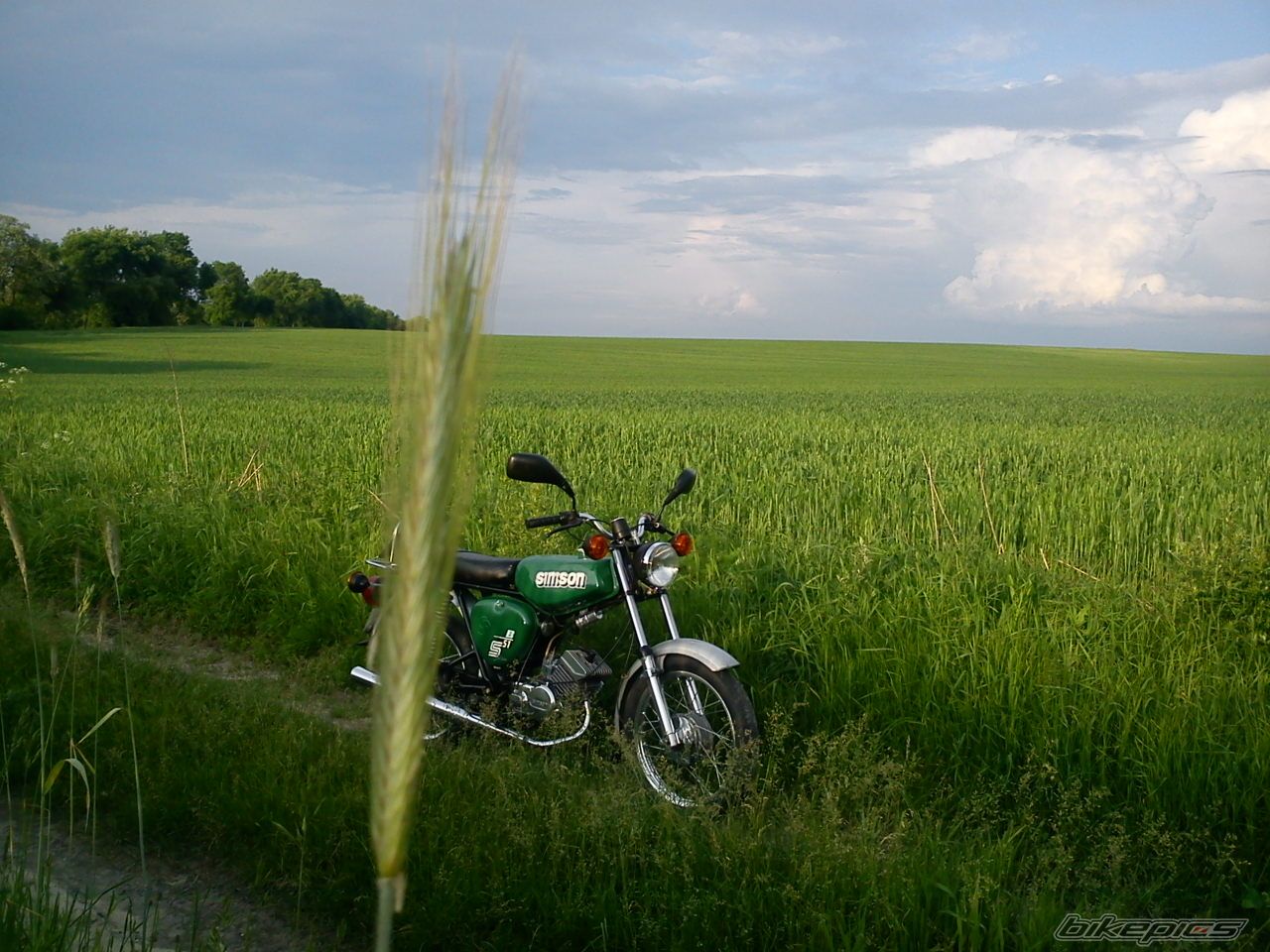 Photo 2564566