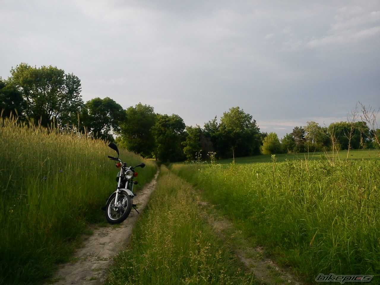 Photo 2564570