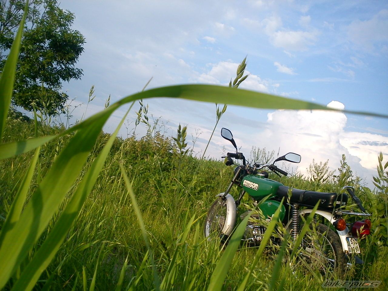 Photo 2564575