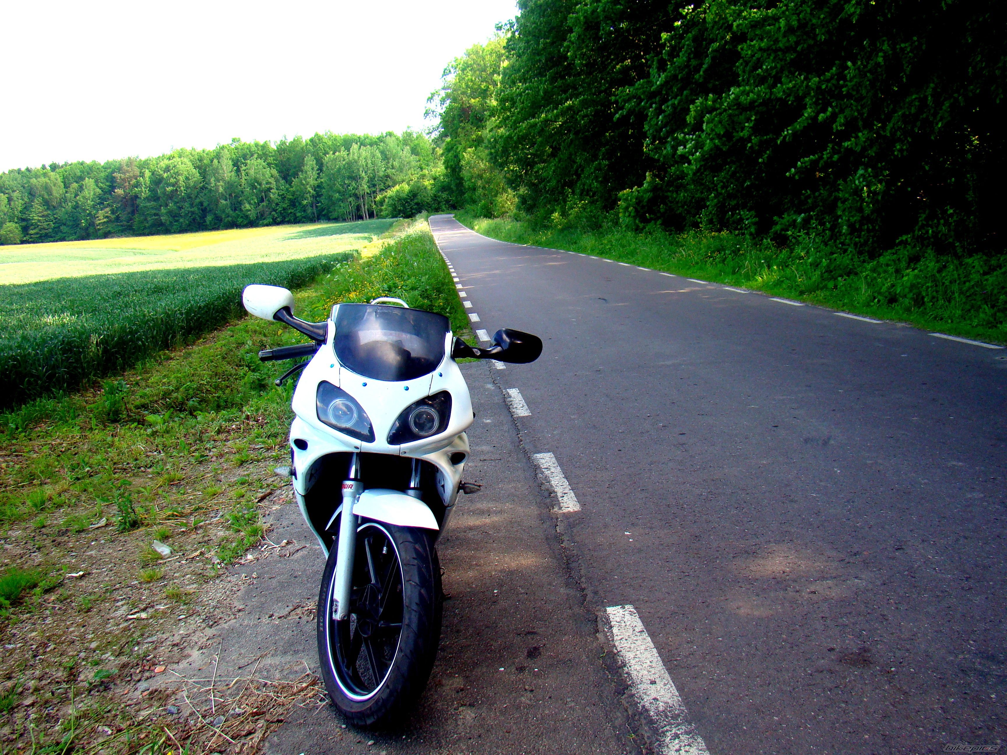 Photo 2564590