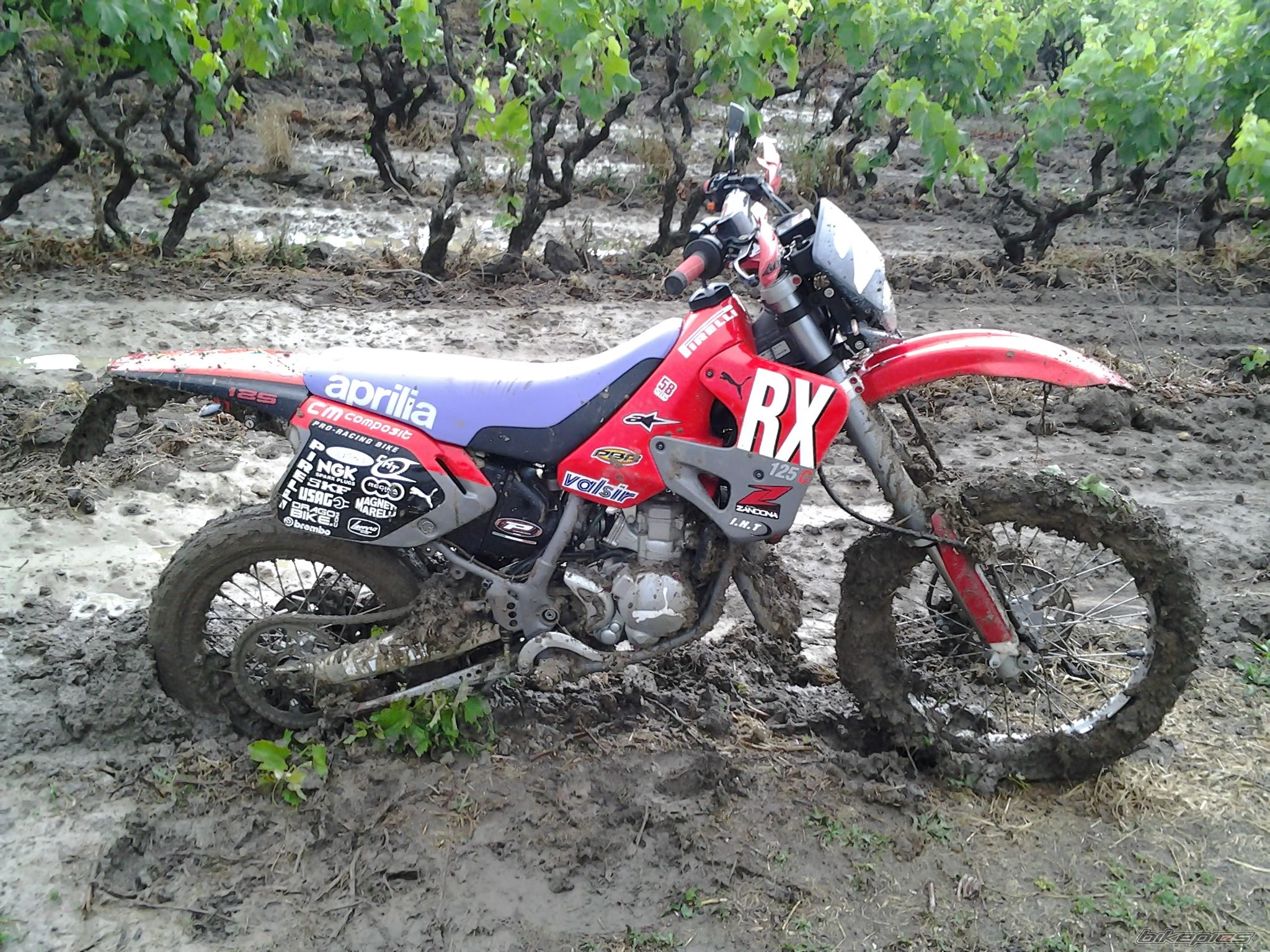 Photo 2564606