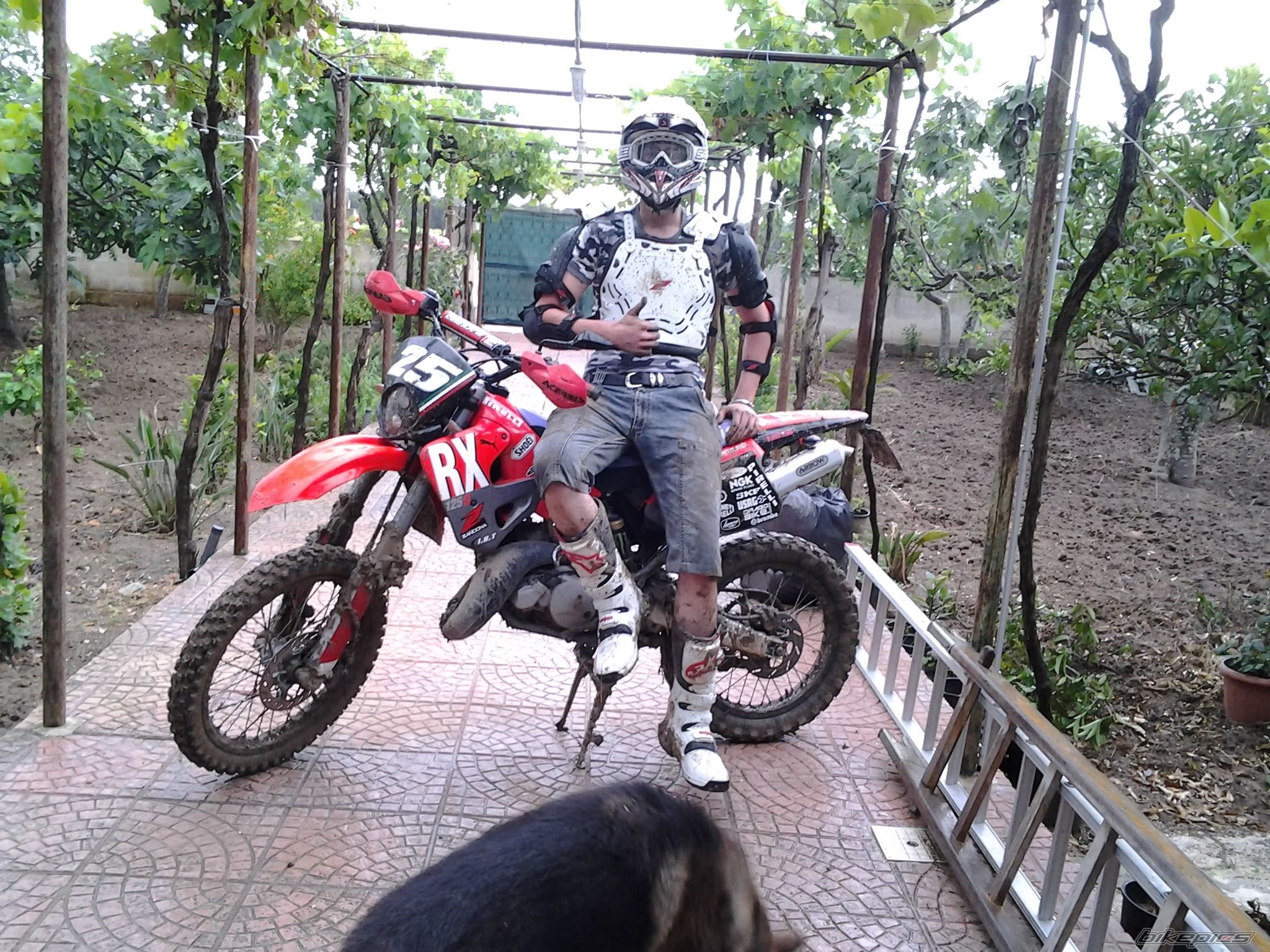 Photo 2564607