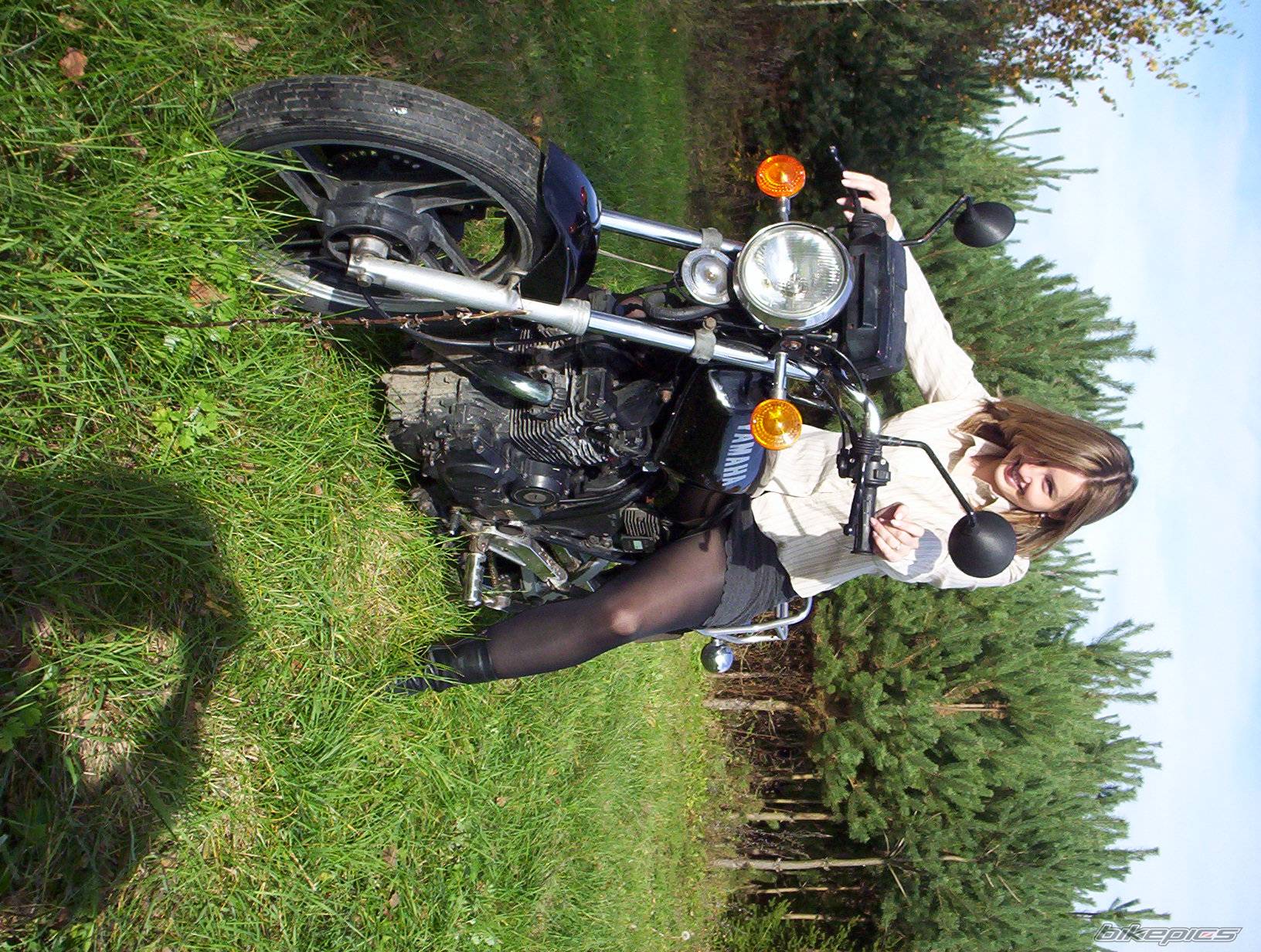 Photo 256462