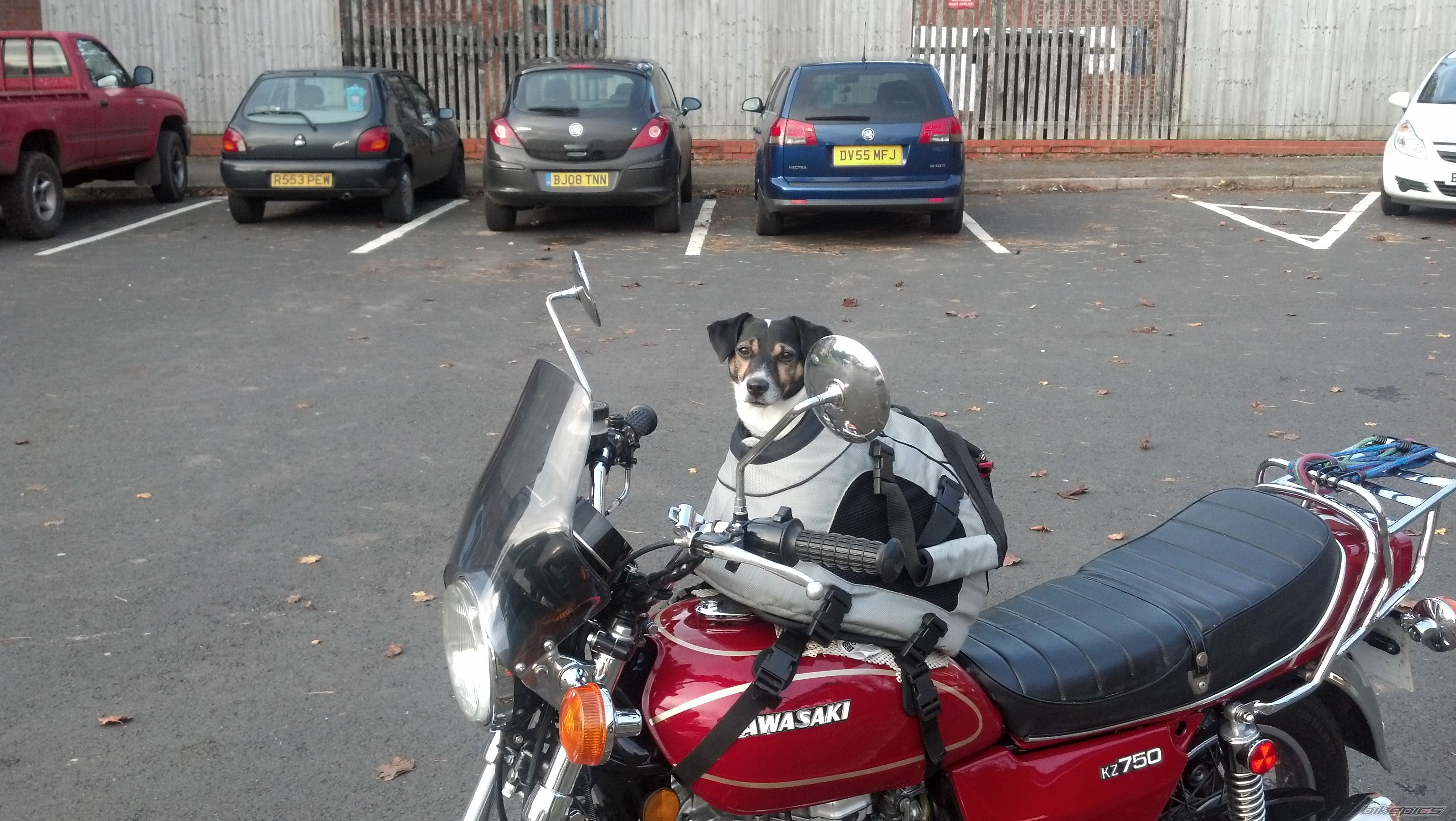 Photo 2564623