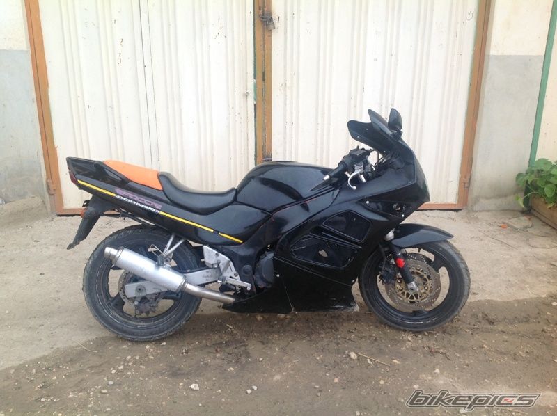 Photo 2564673