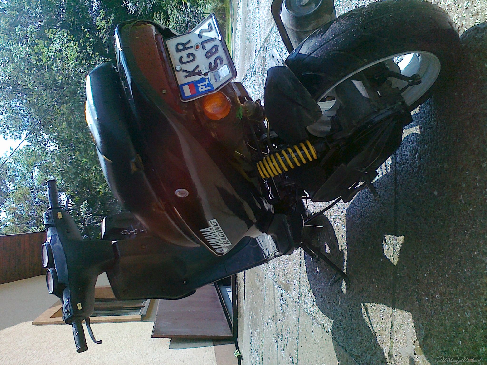 Photo 2564699