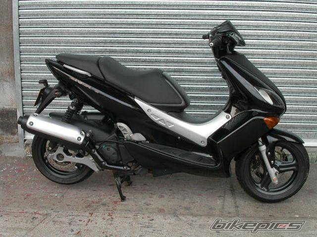 Photo 256472