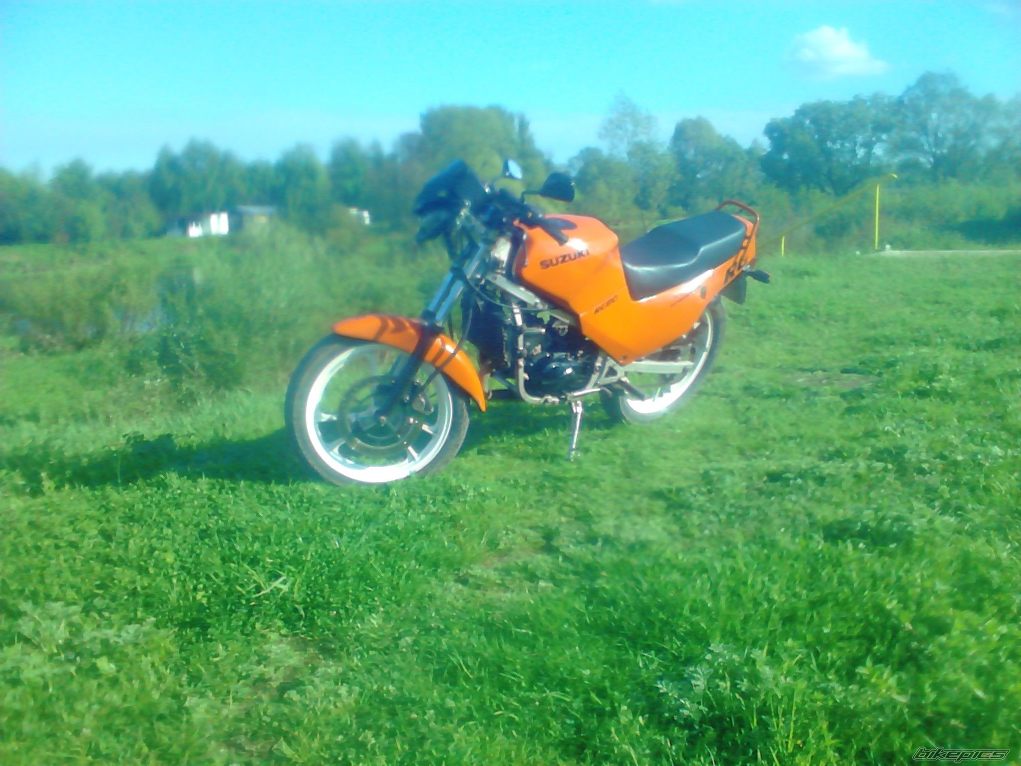 Photo 2564730