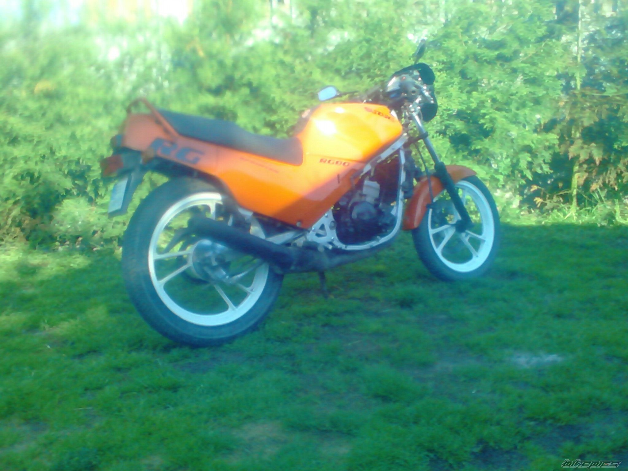Photo 2564732