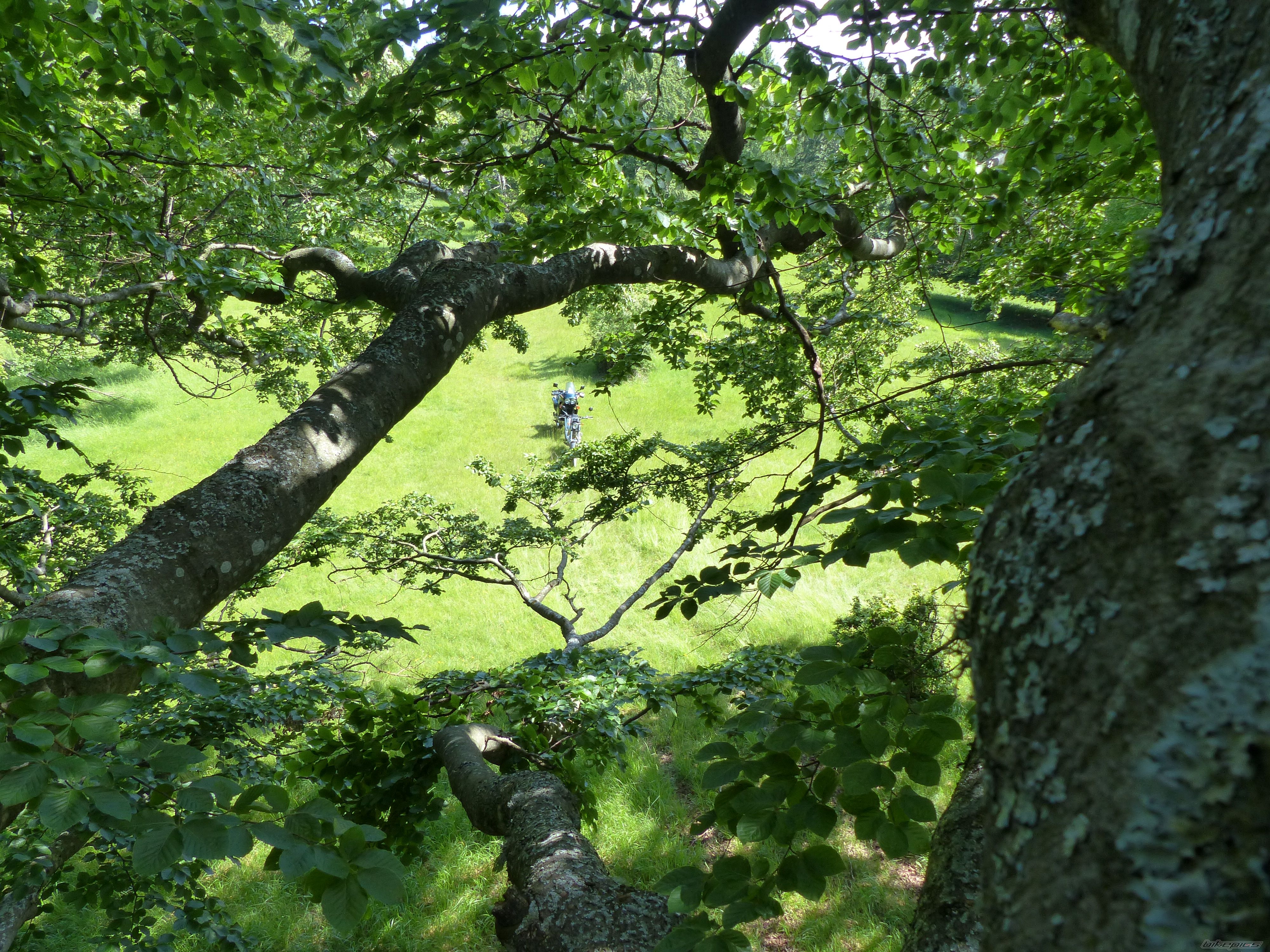 Photo 2564772