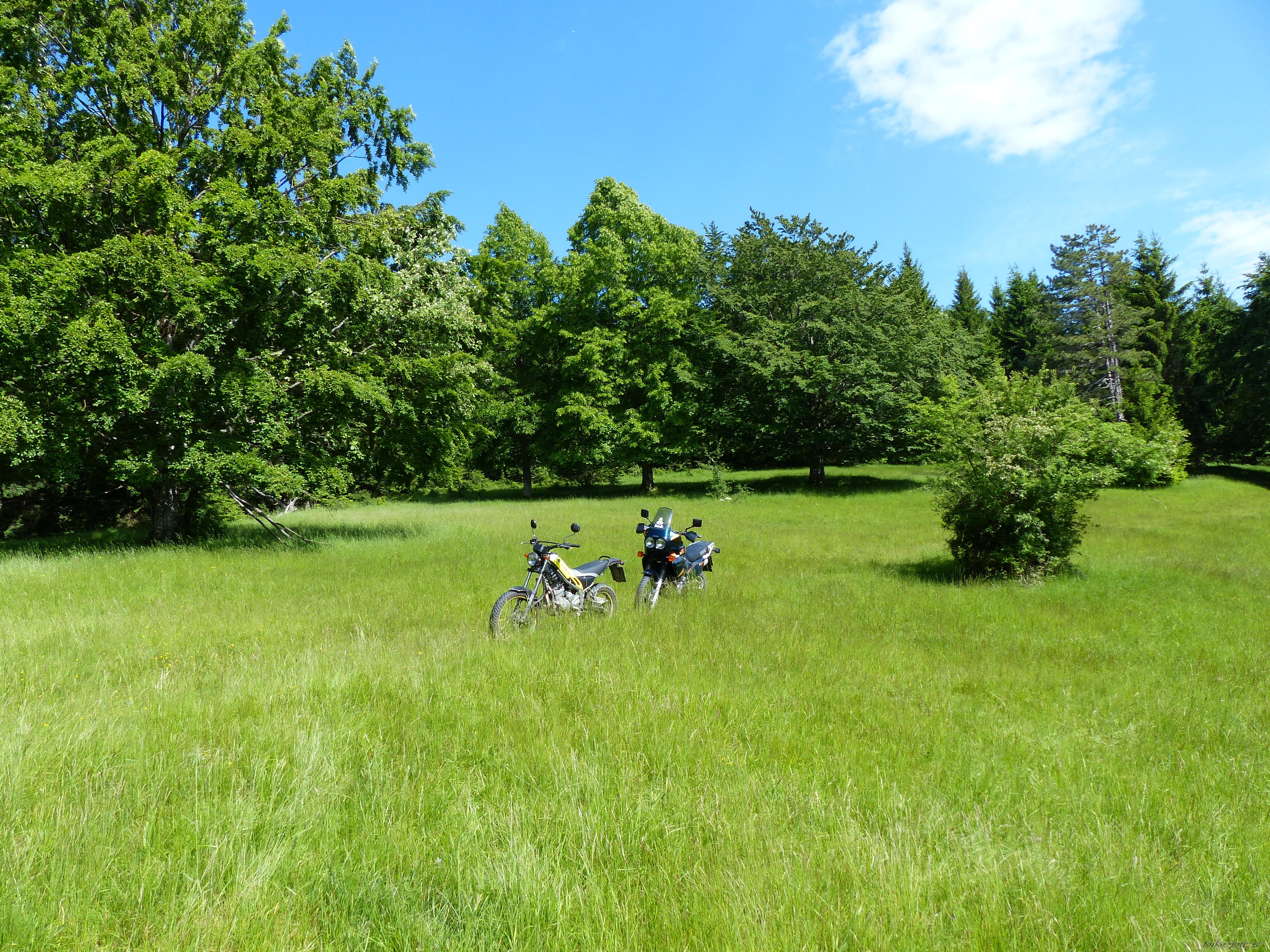 Photo 2564775