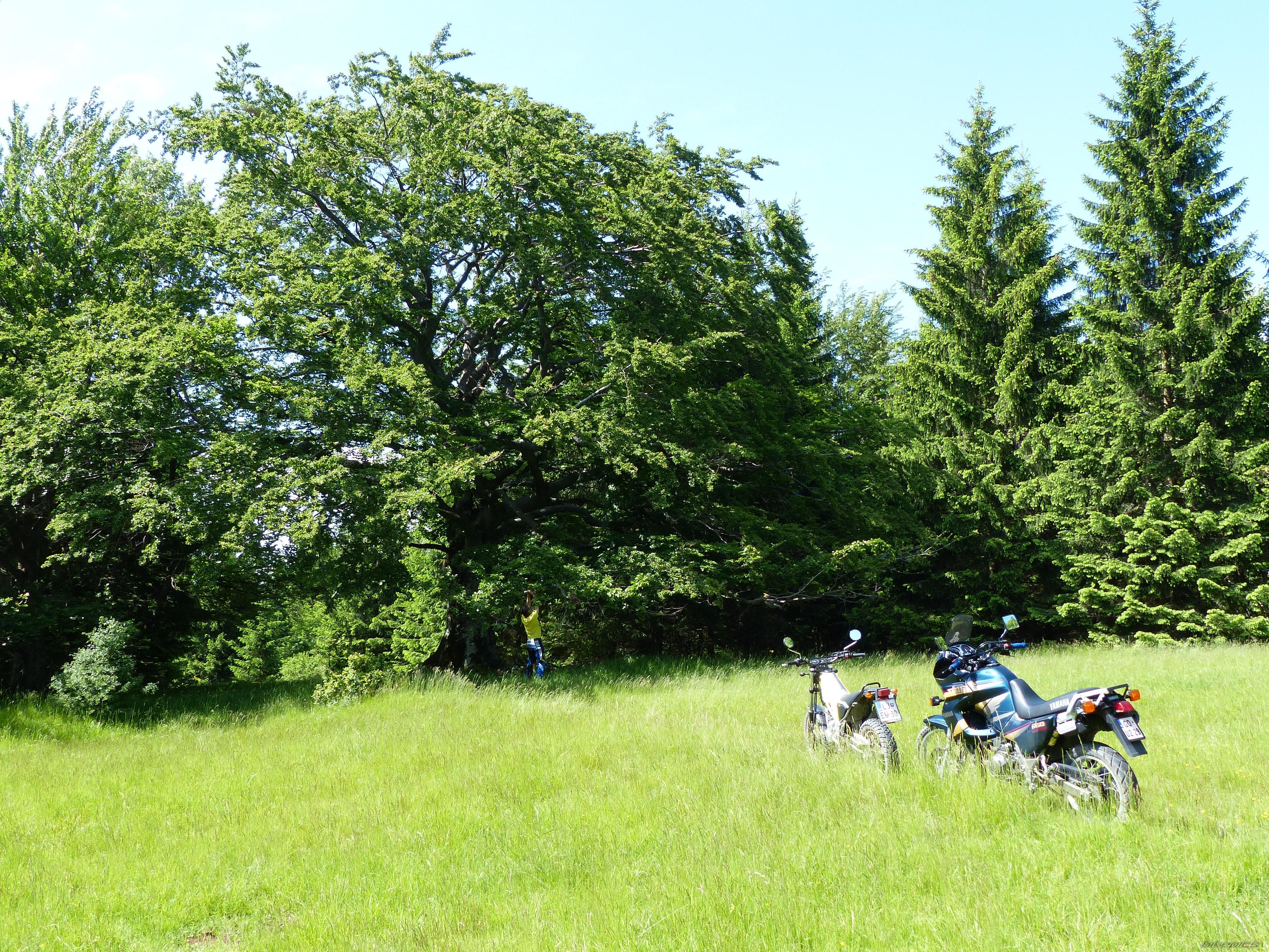 Photo 2564786