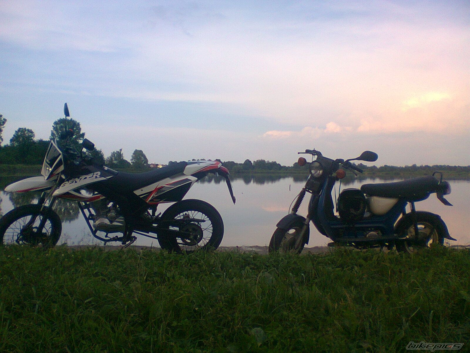 Photo 2564788