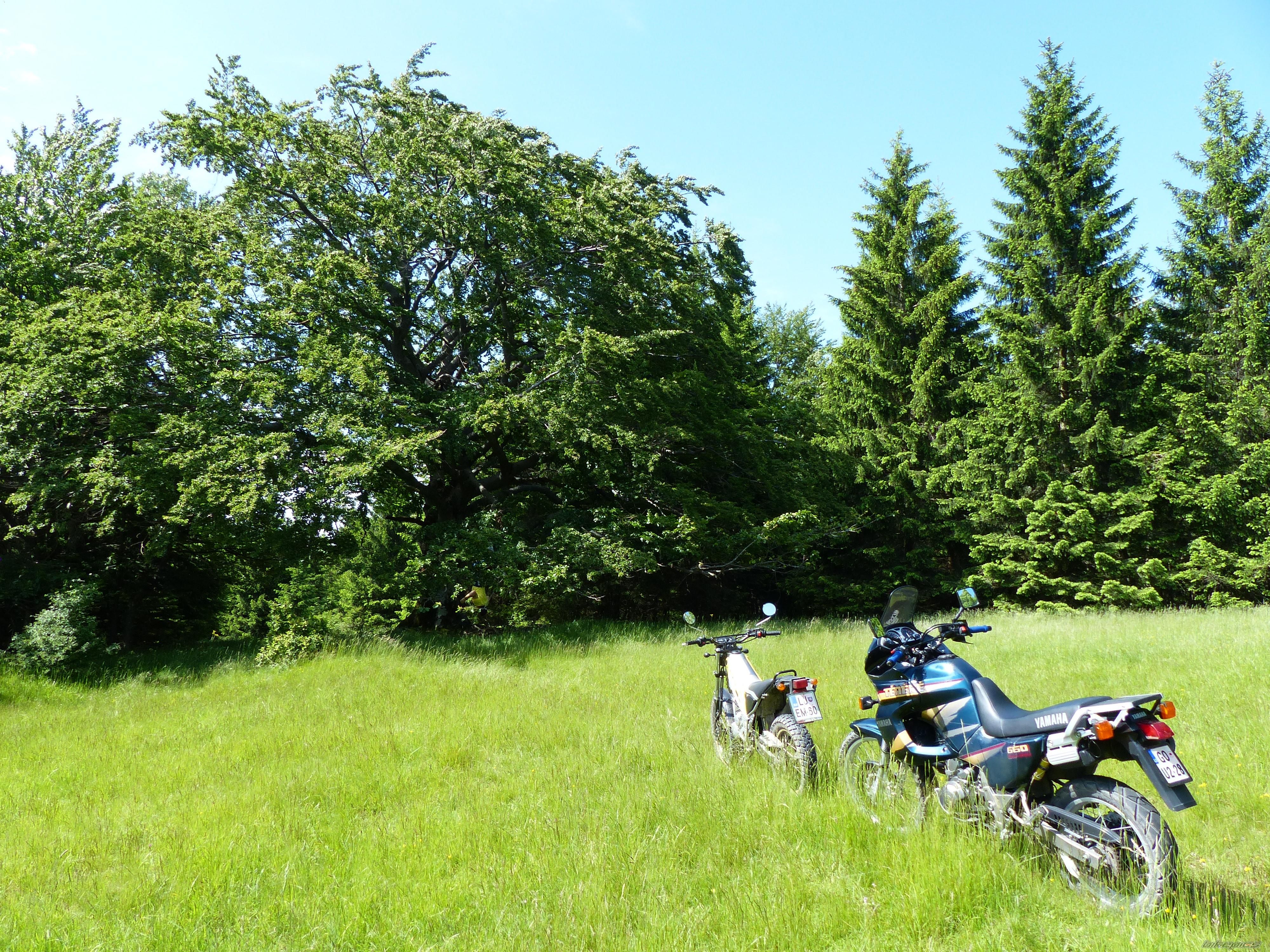 Photo 2564789