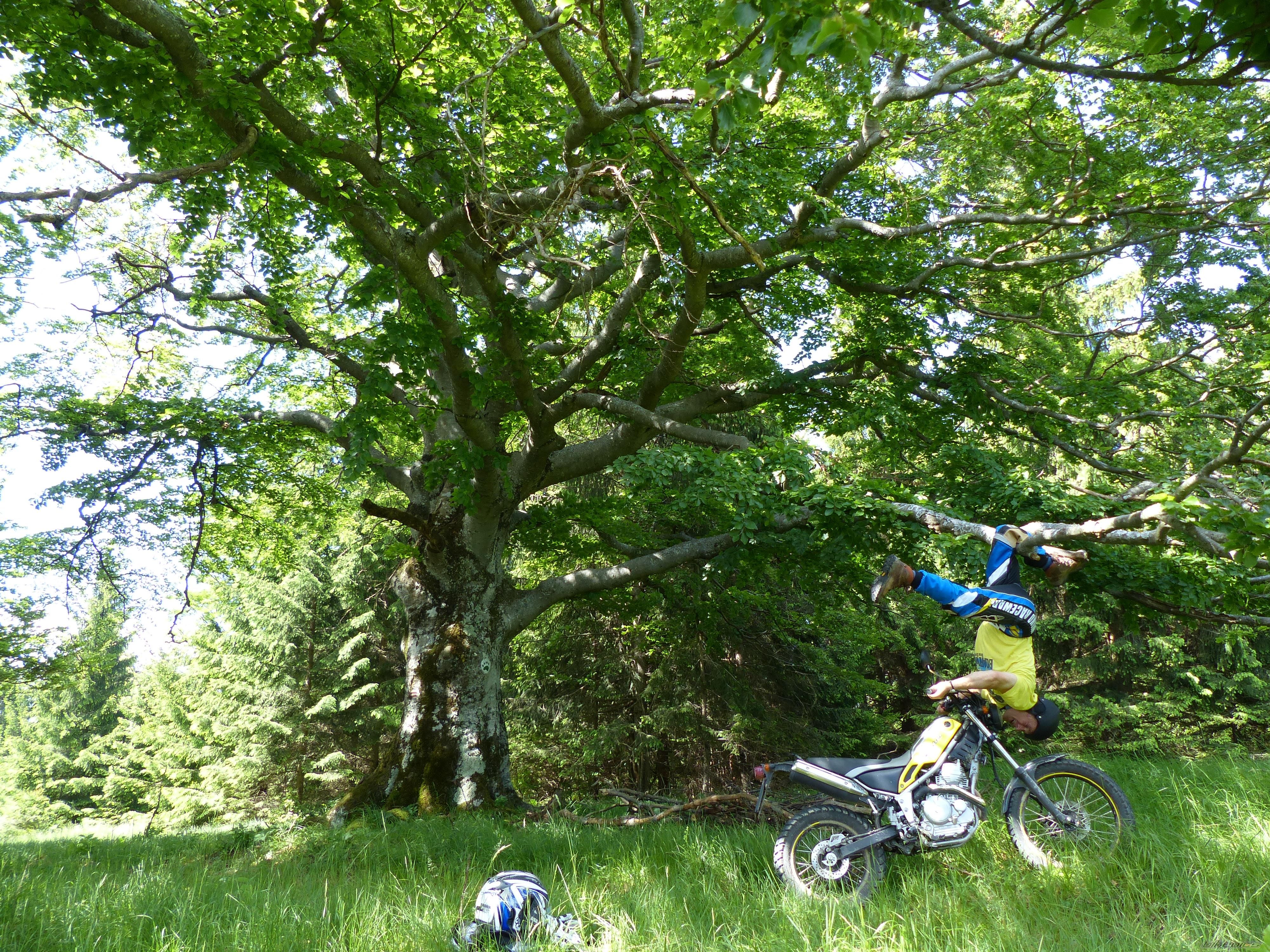 Photo 2564792