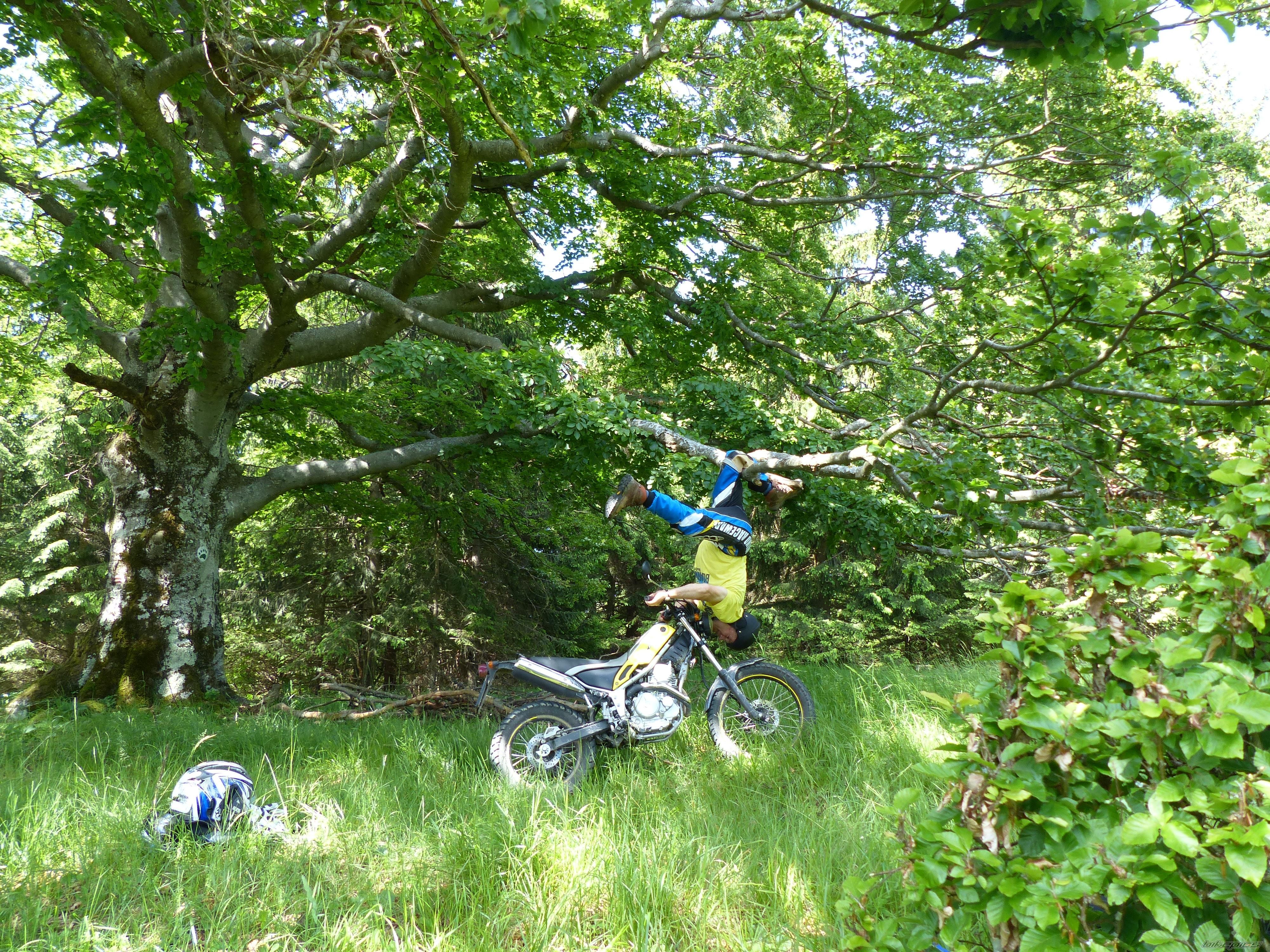 Photo 2564793