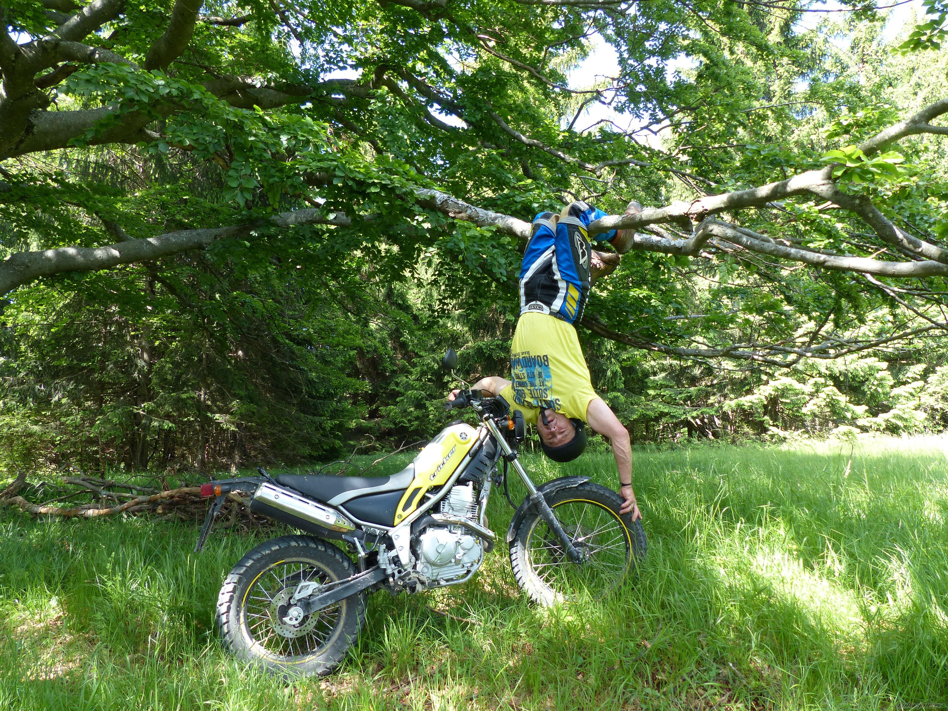 Photo 2564797