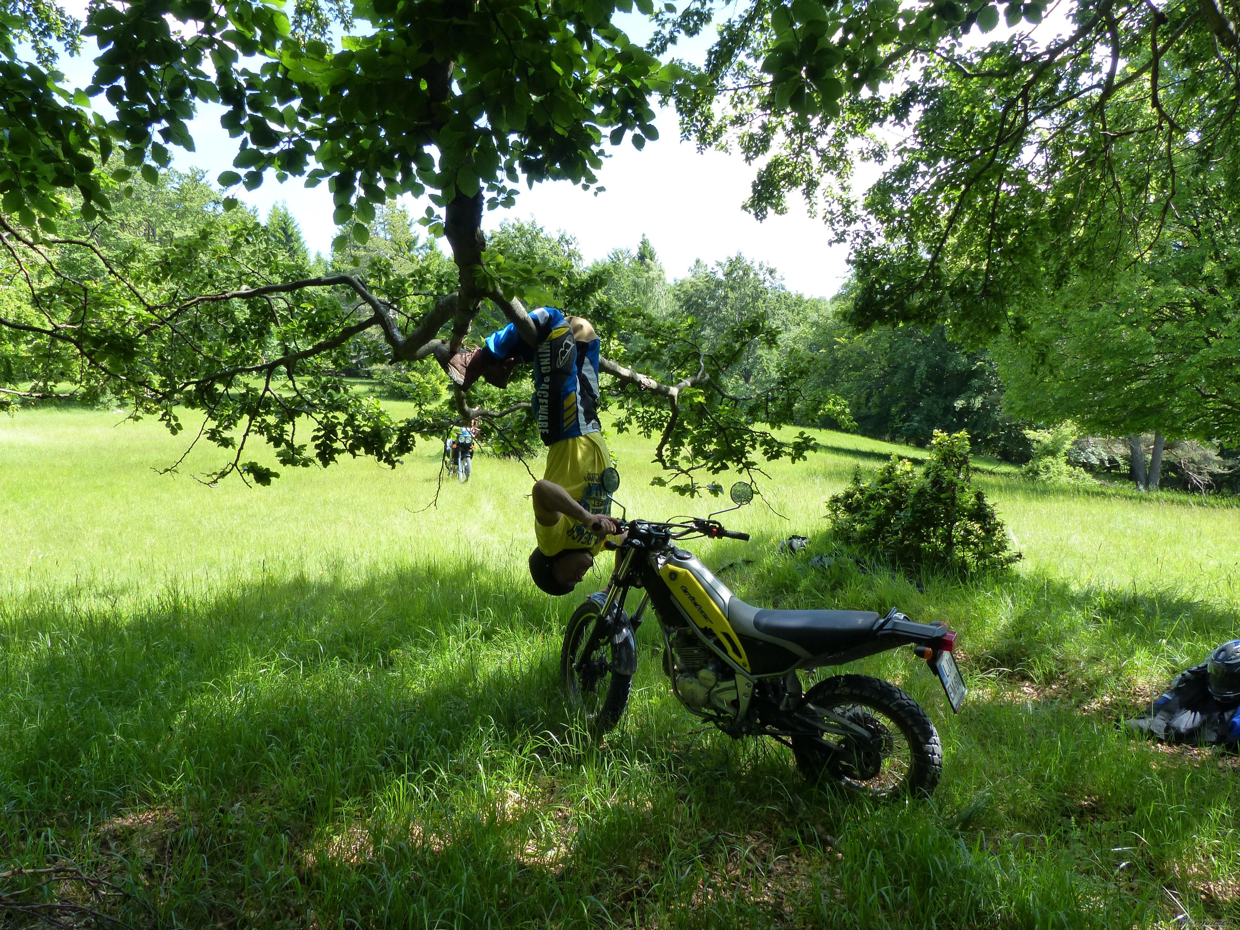 Photo 2564798