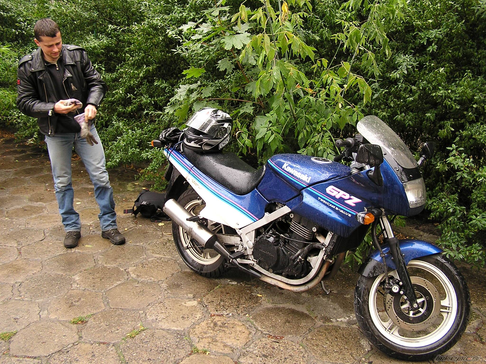 Photo 256482