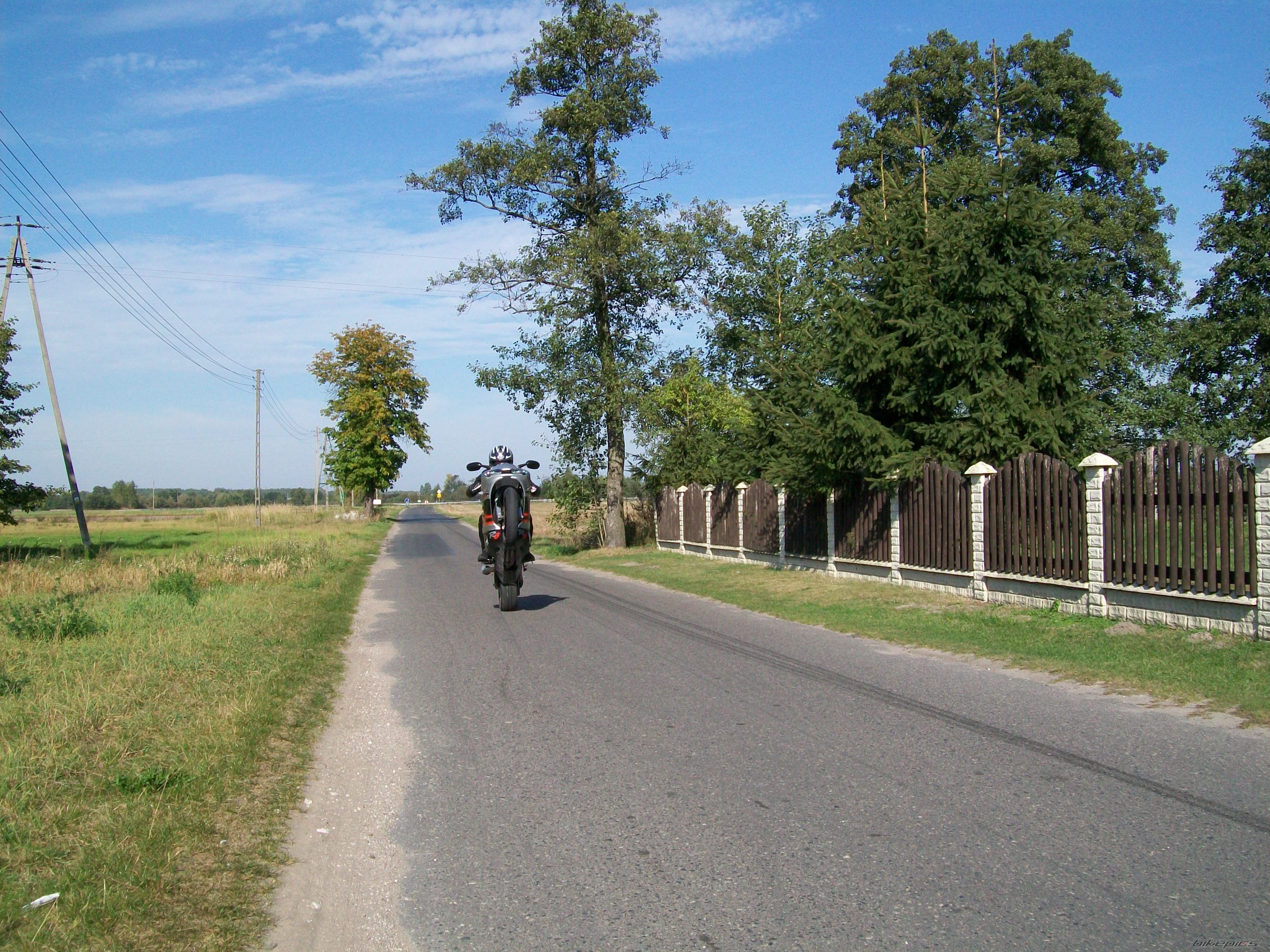 Photo 2564870