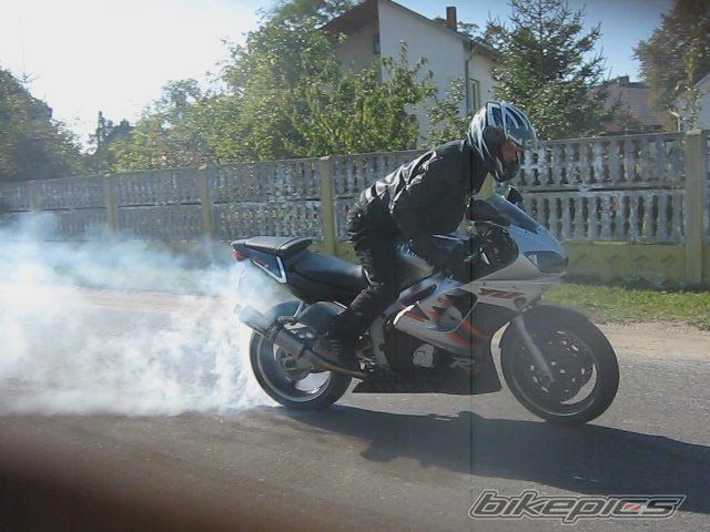 Photo 2564880