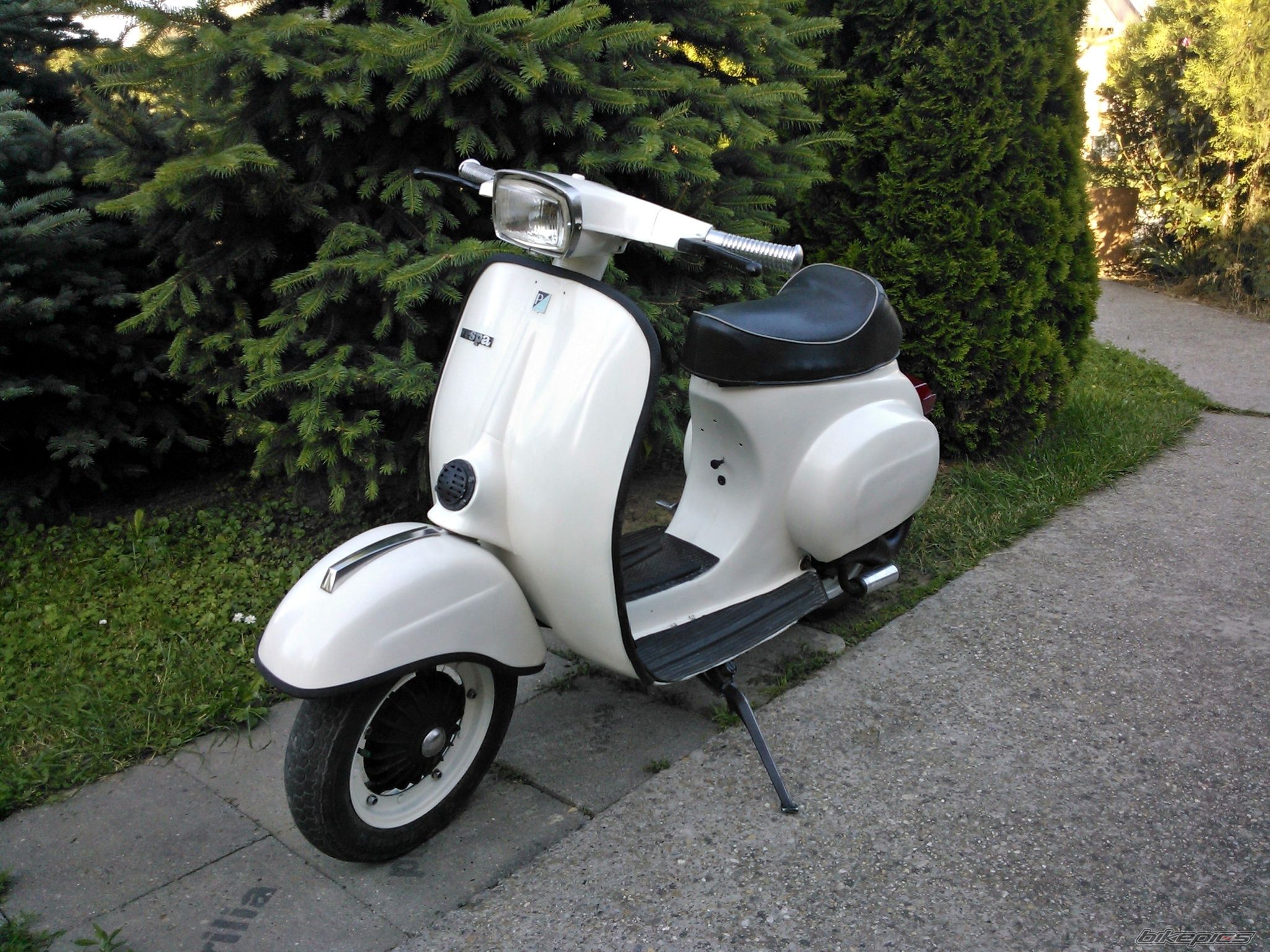 Photo 2564908