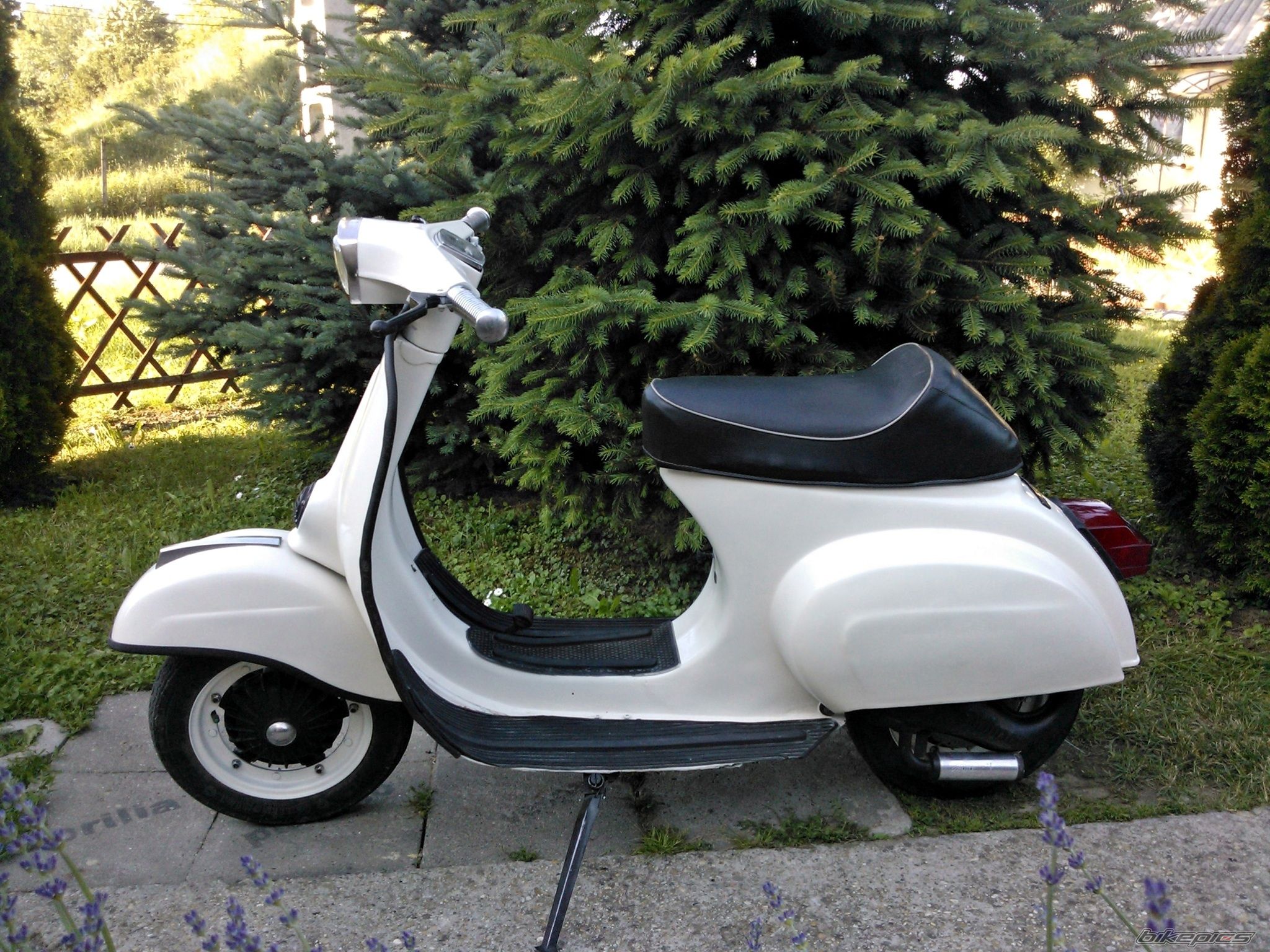 Photo 2564909
