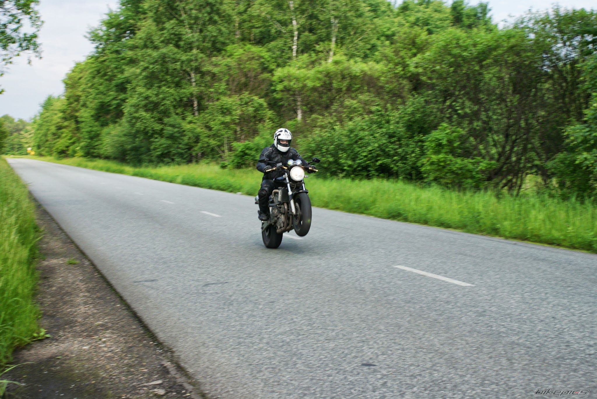 Photo 2564918