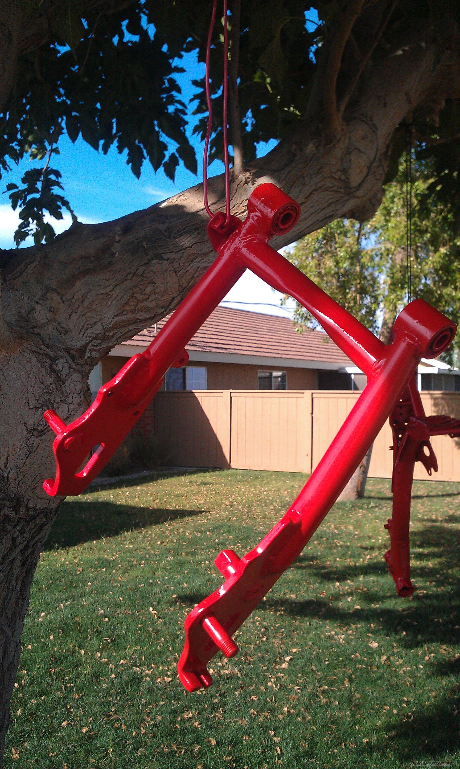 Photo 2564940