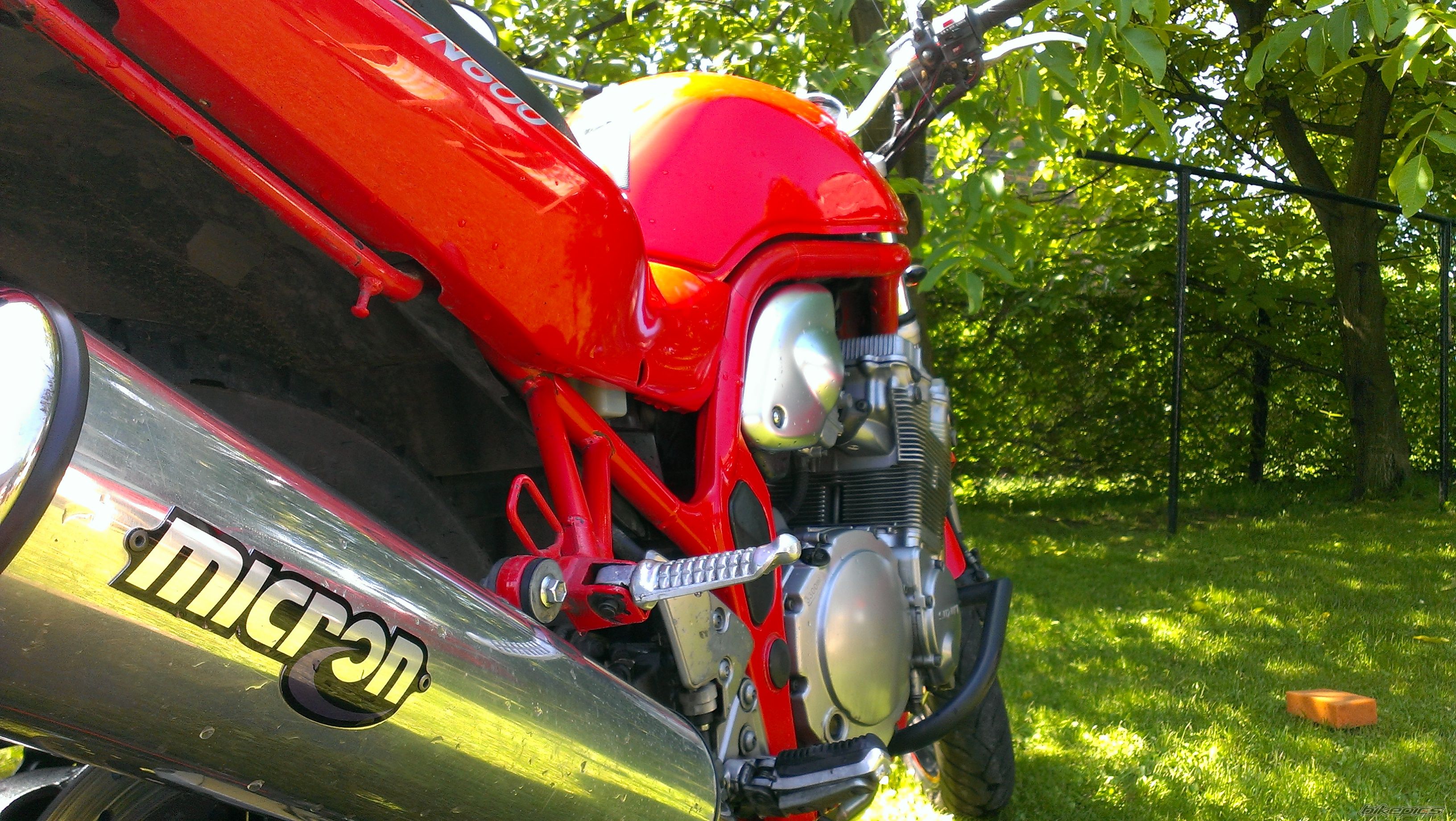 Photo 2565013