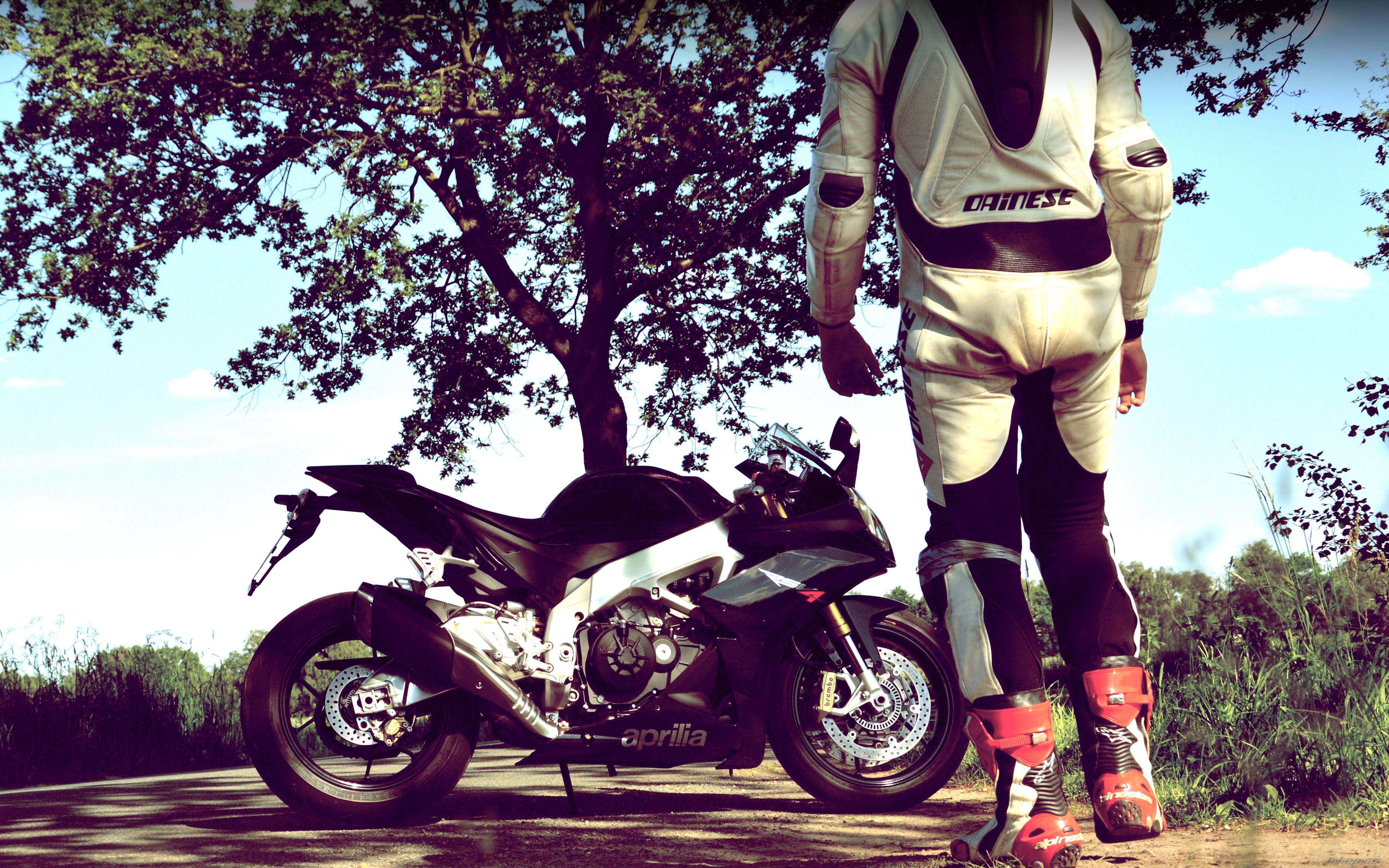 Photo 2565063