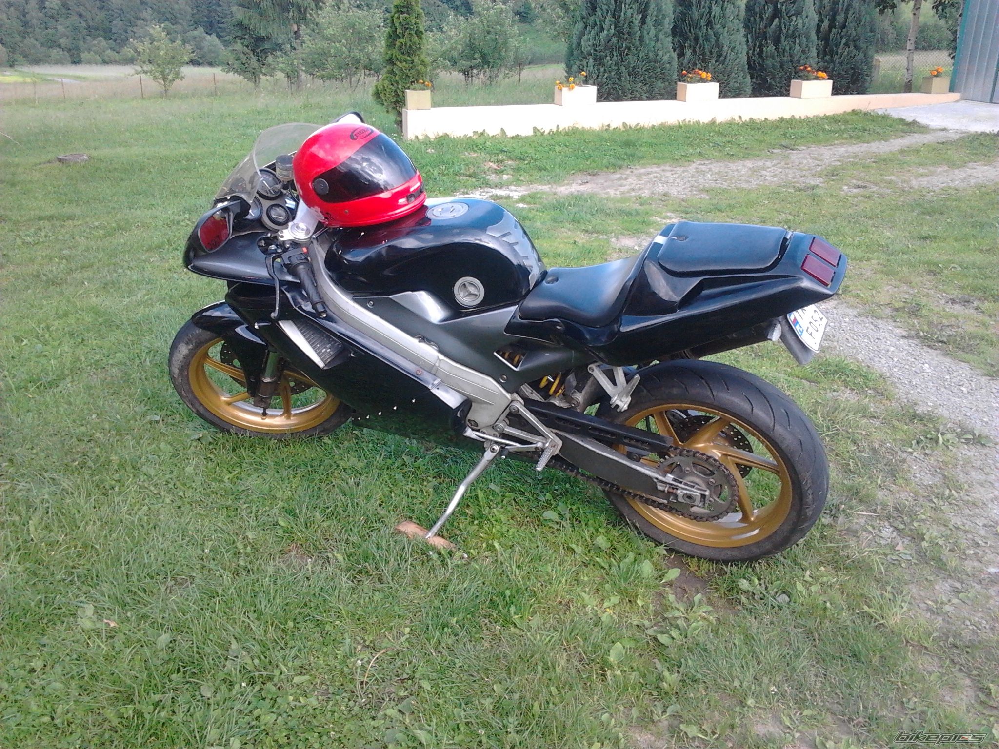 Photo 2565103