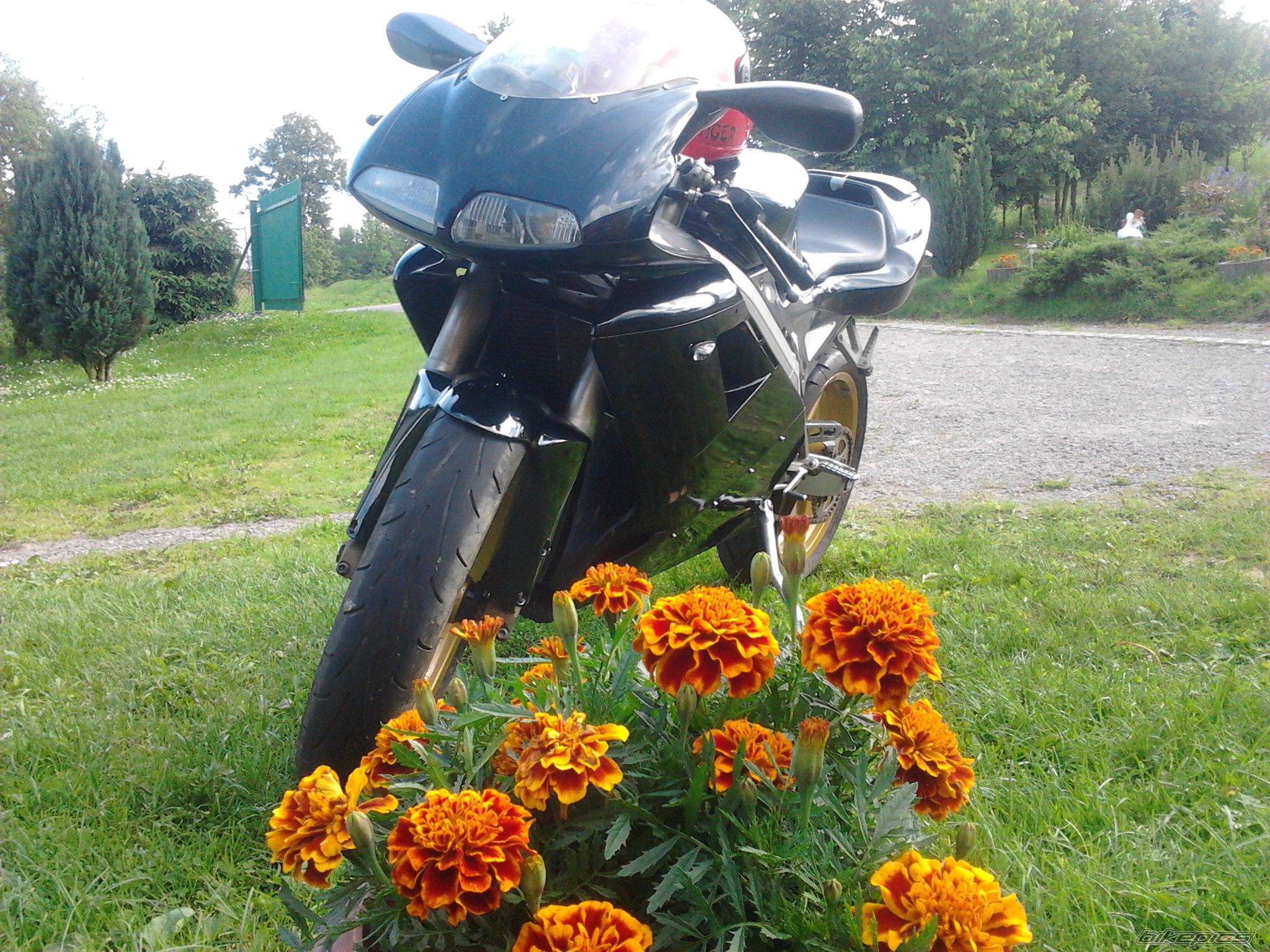 Photo 2565105