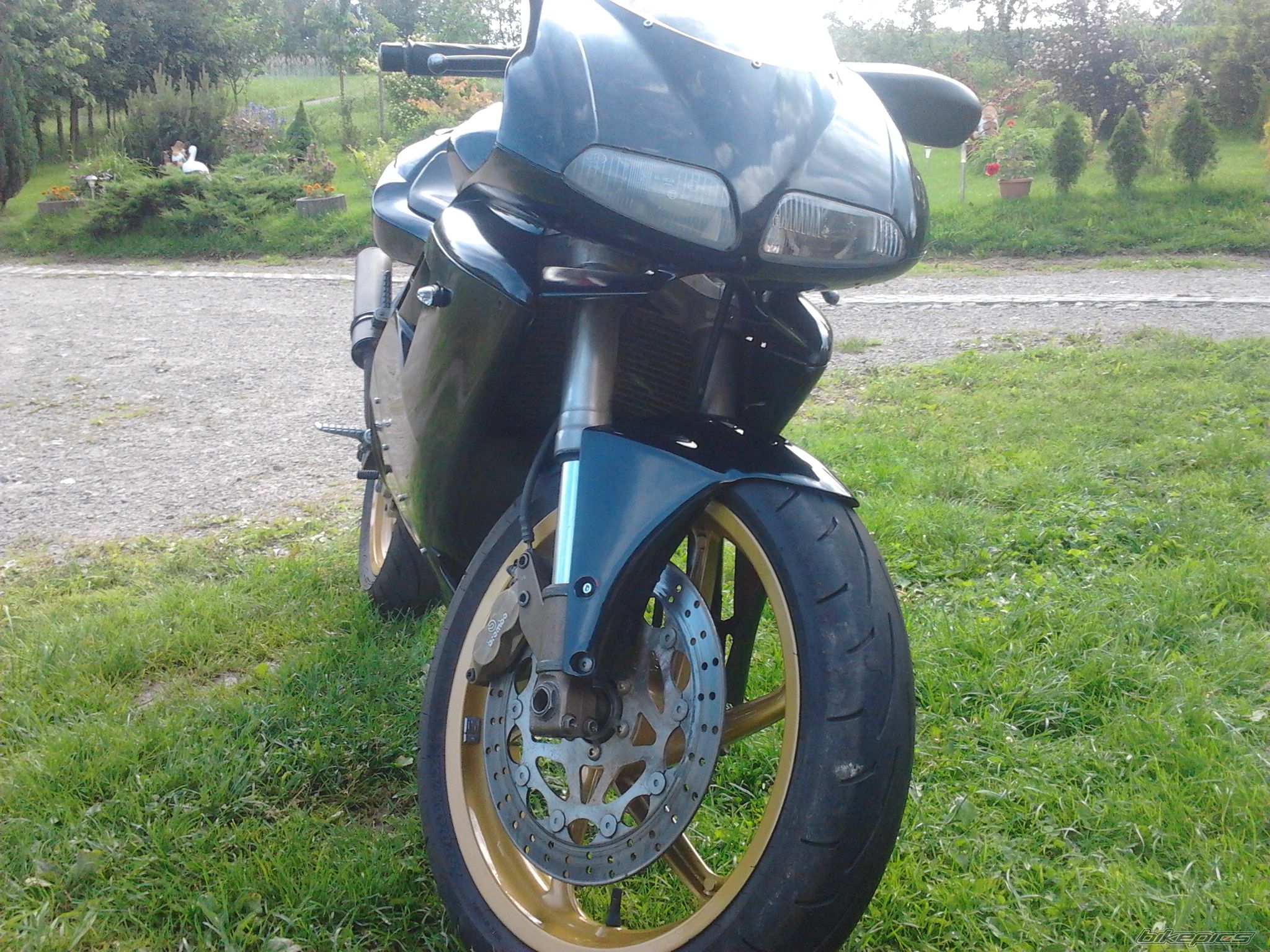Photo 2565106