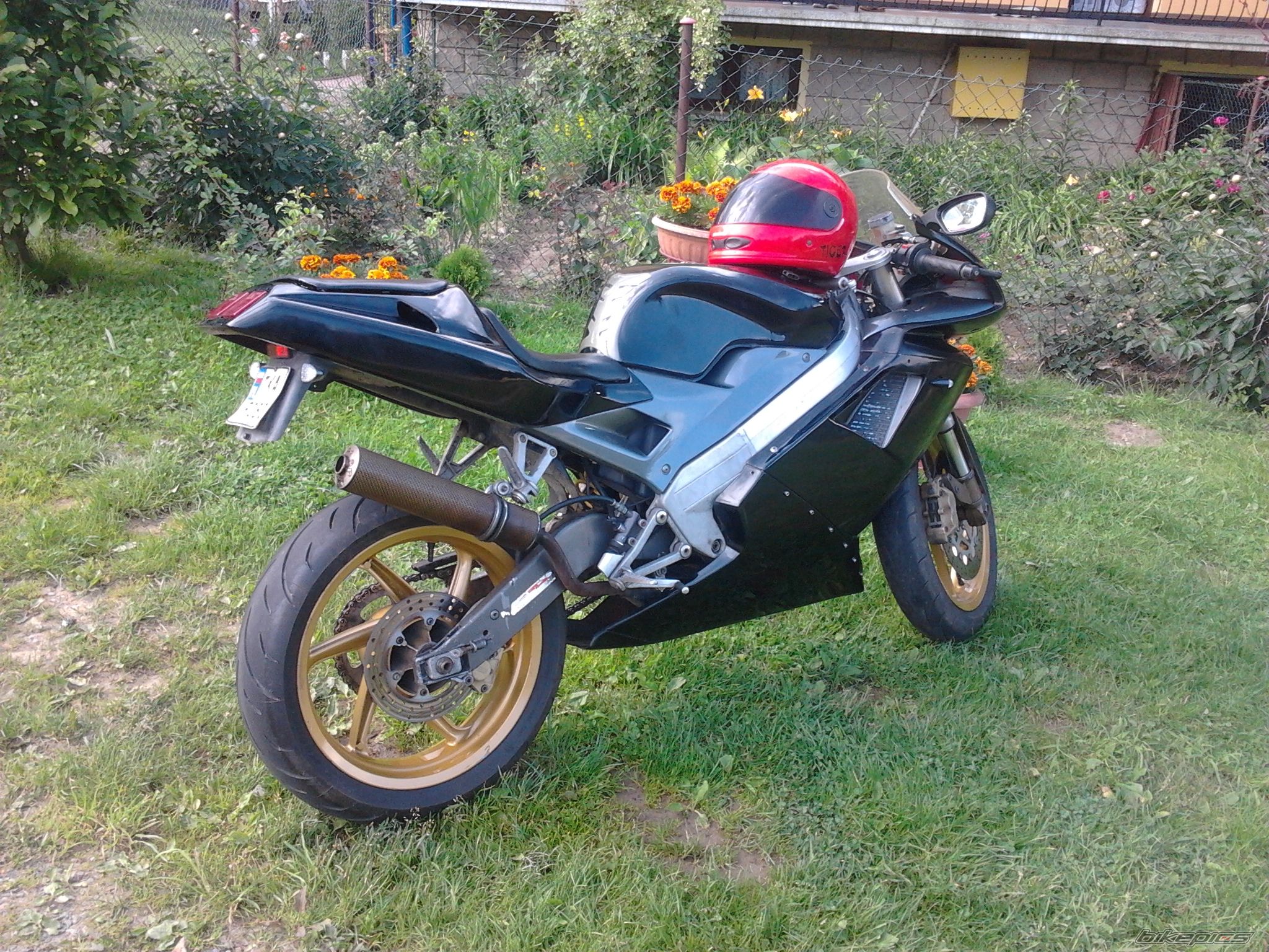 Photo 2565108