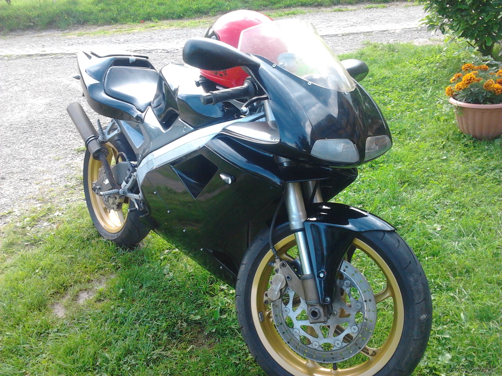 Photo 2565110