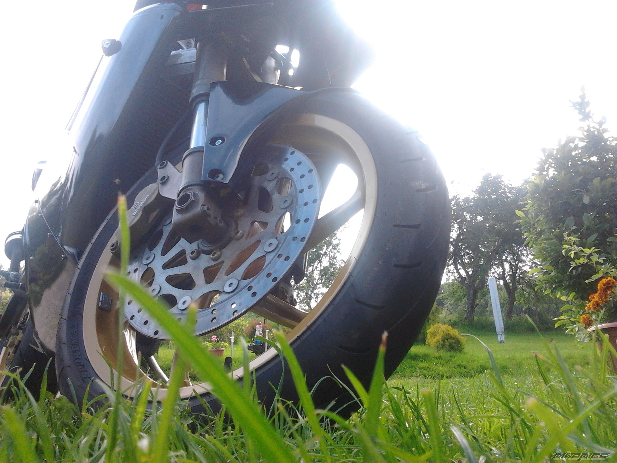 Photo 2565111