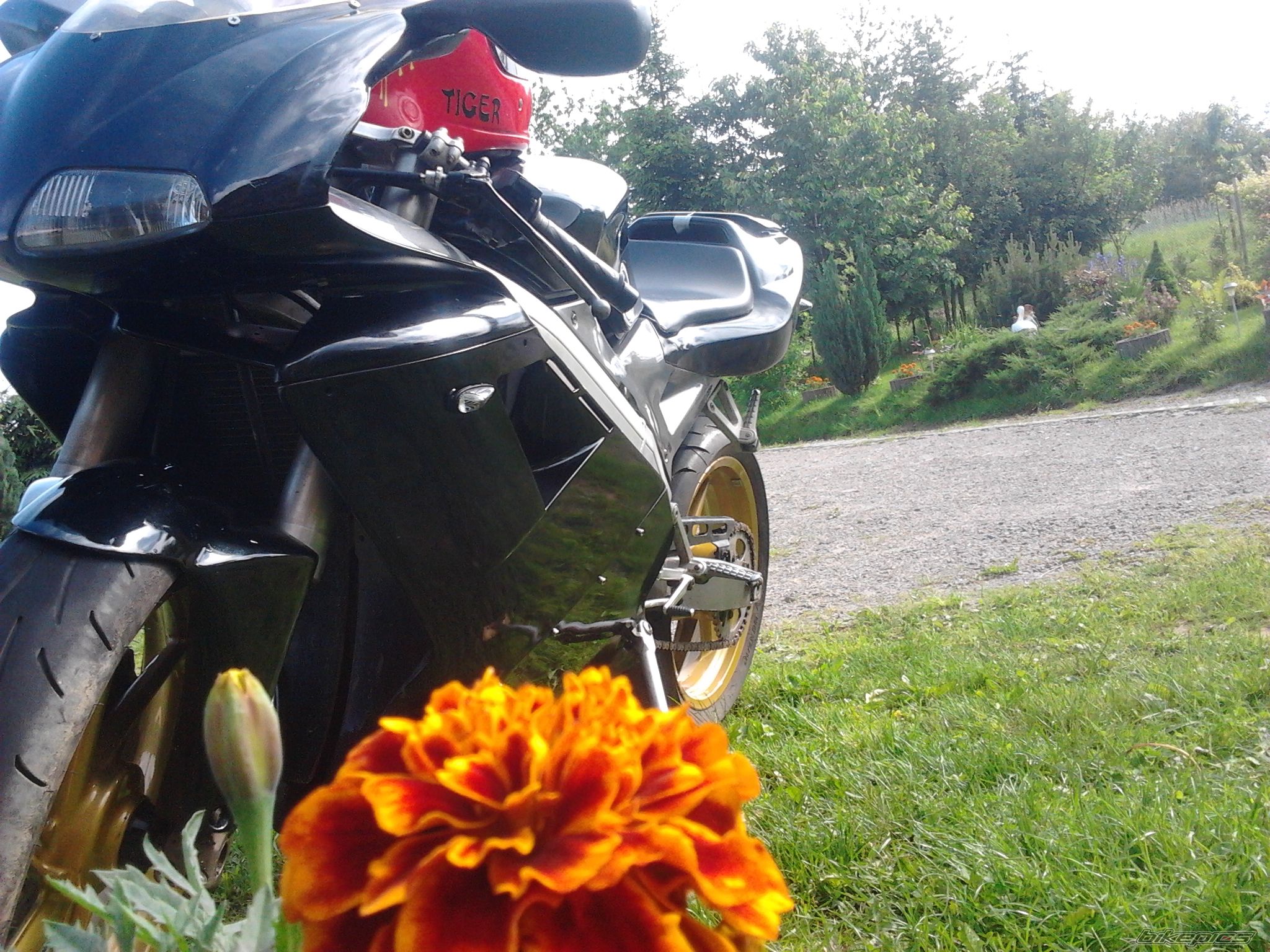 Photo 2565114