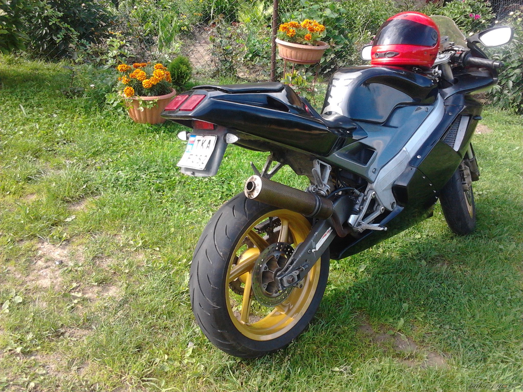 Photo 2565115