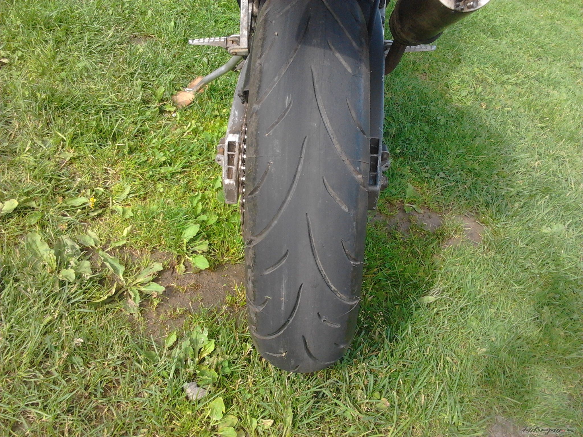 Photo 2565116