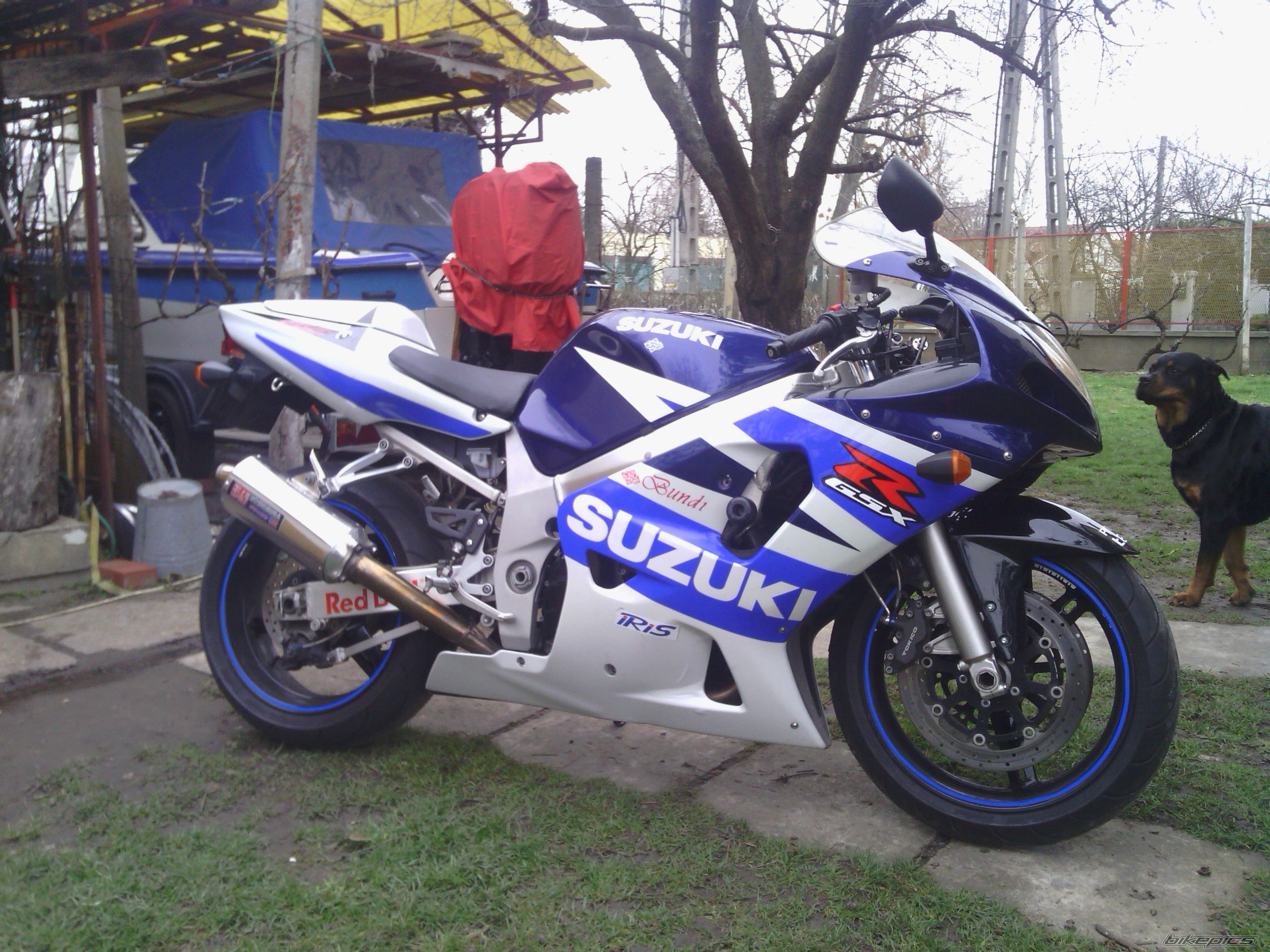Bike Photo 2565165