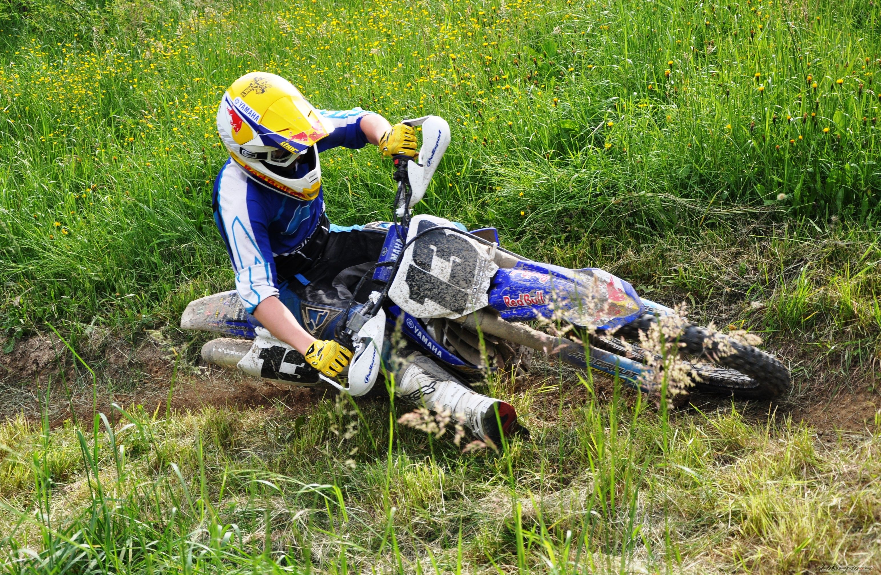 Photo 2565185