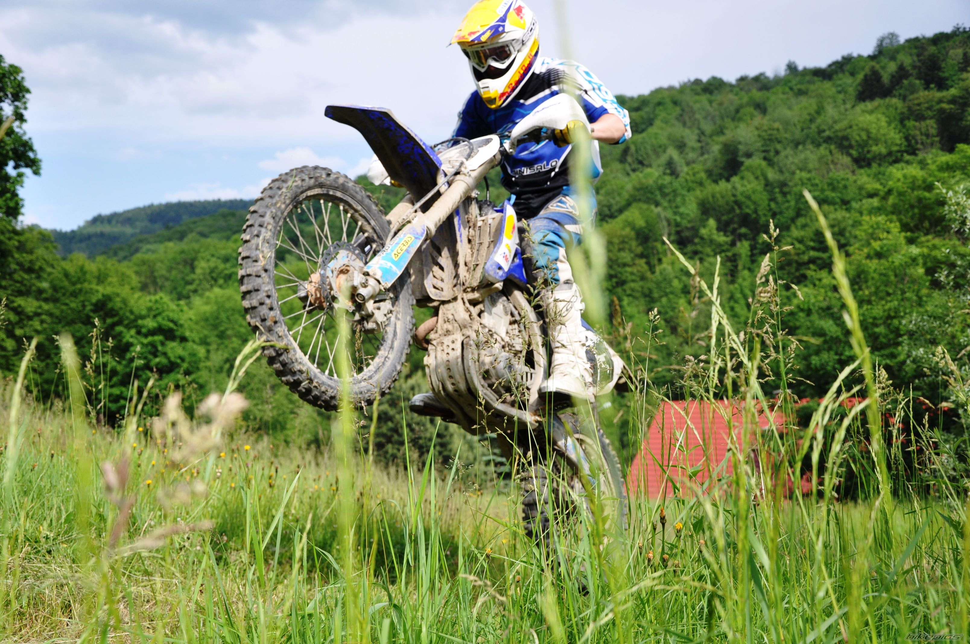 Photo 2565186