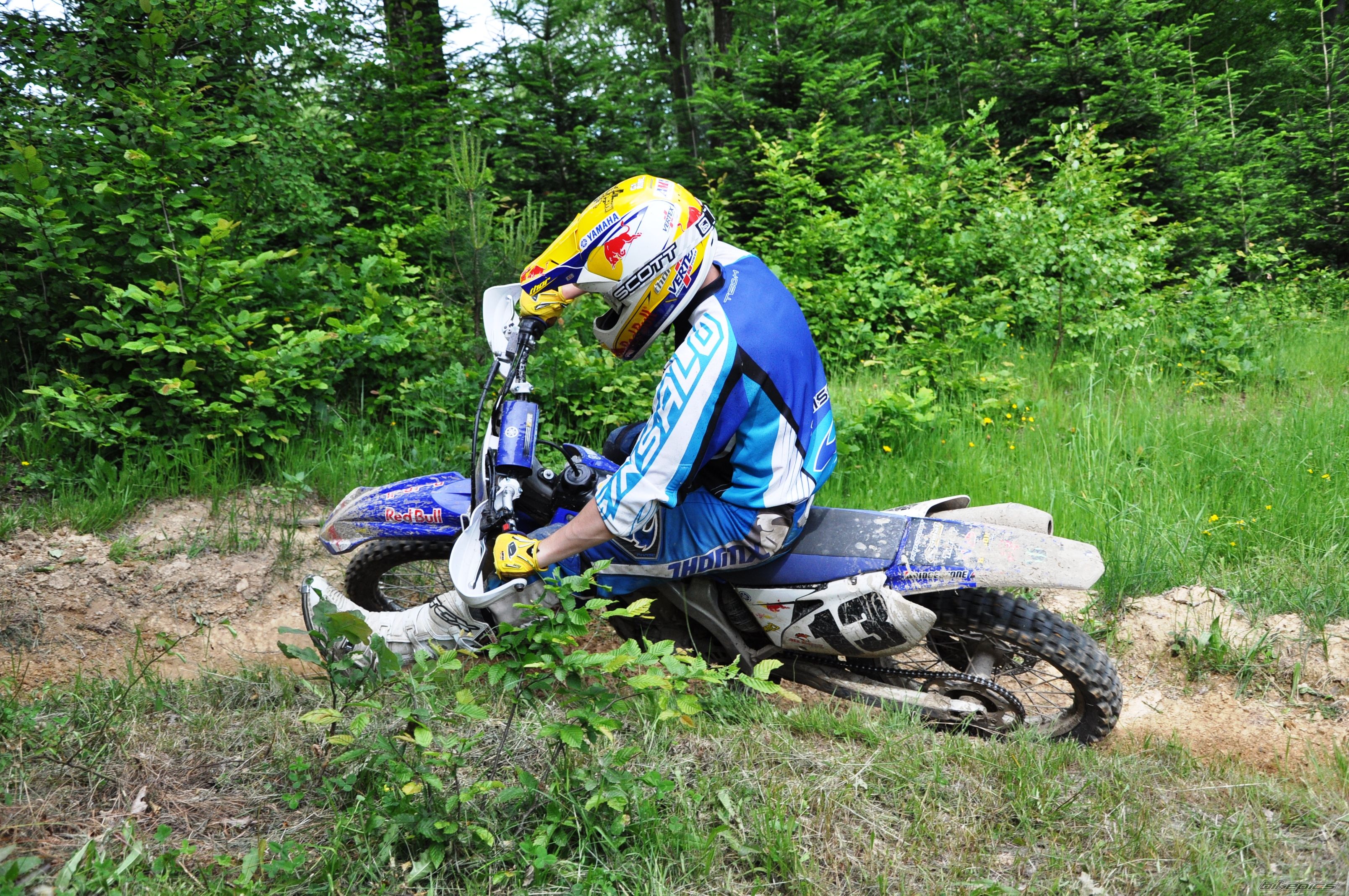 Photo 2565187