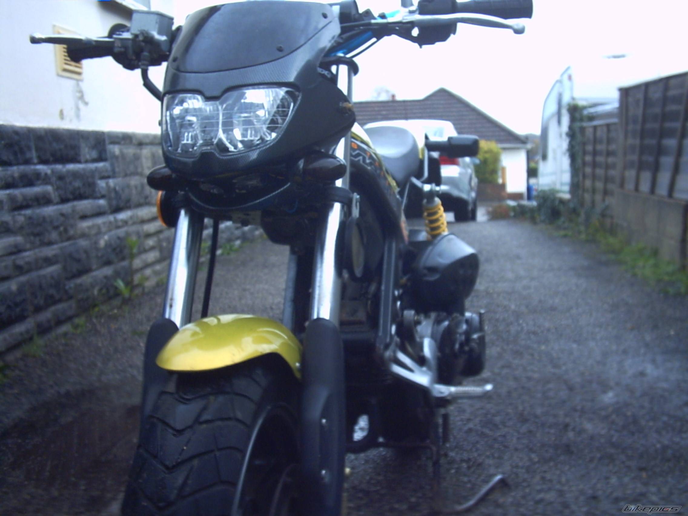 Photo 256521